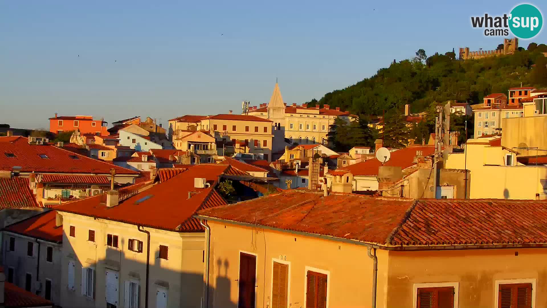 ﻿Pirano Webcam | Lungomare di Pirano | Hotel Piran