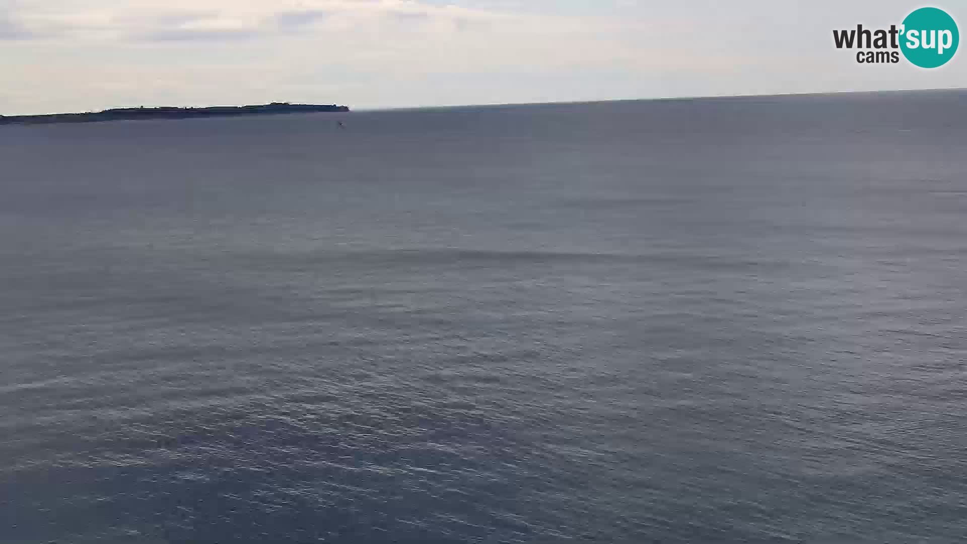 PIRAN Punta webcam | Seaside Promenade | Hotel Piran