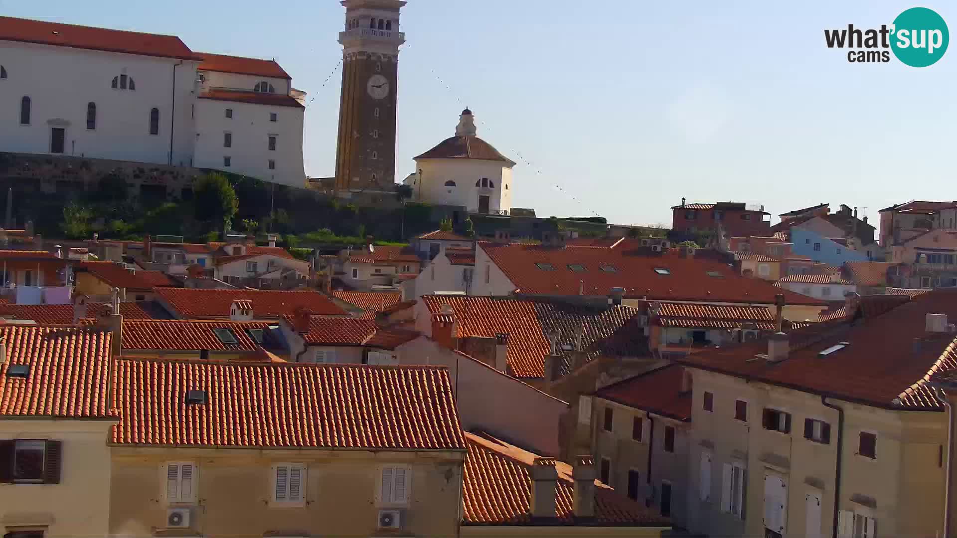 PIRAN Punta webcam | Seaside Promenade | Hotel Piran