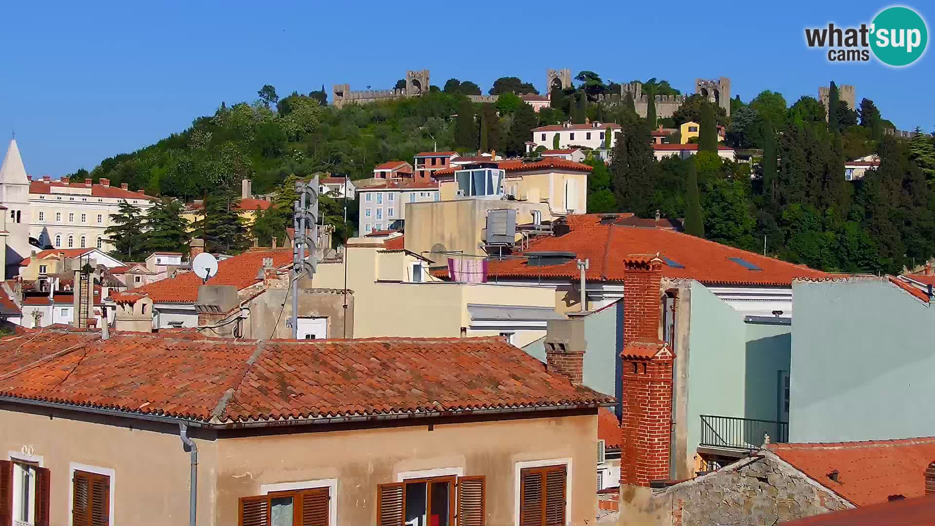 PIRAN Punta webcam | Seaside Promenade | Hotel Piran
