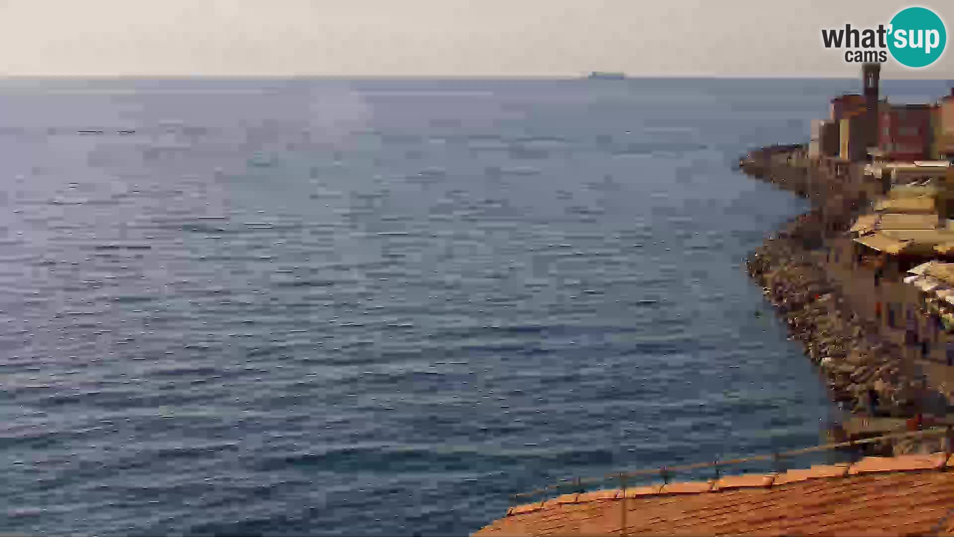 ﻿Pirano Webcam | Lungomare di Pirano | Hotel Piran