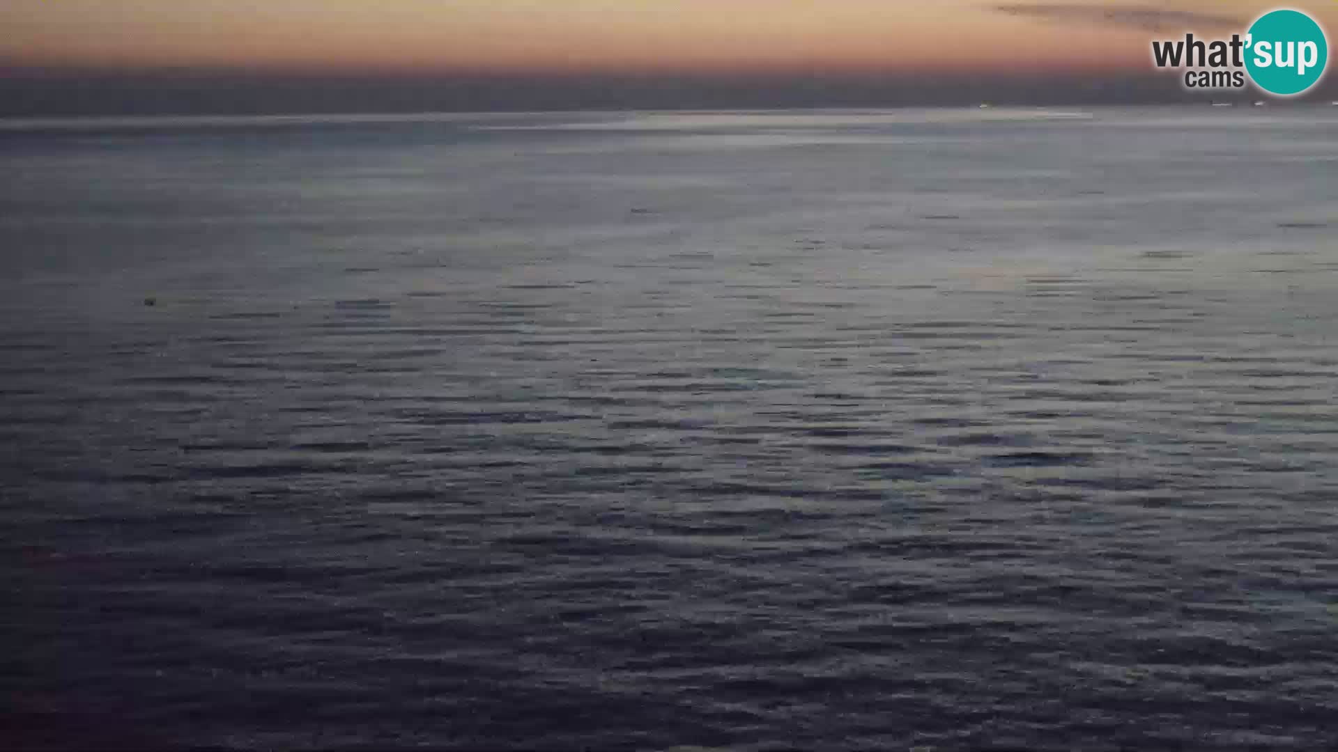 PIRAN Punta webcam | Seaside Promenade | Hotel Piran