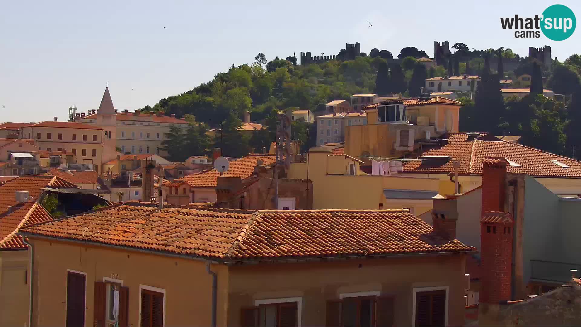 ﻿Pirano Webcam | Lungomare di Pirano | Hotel Piran