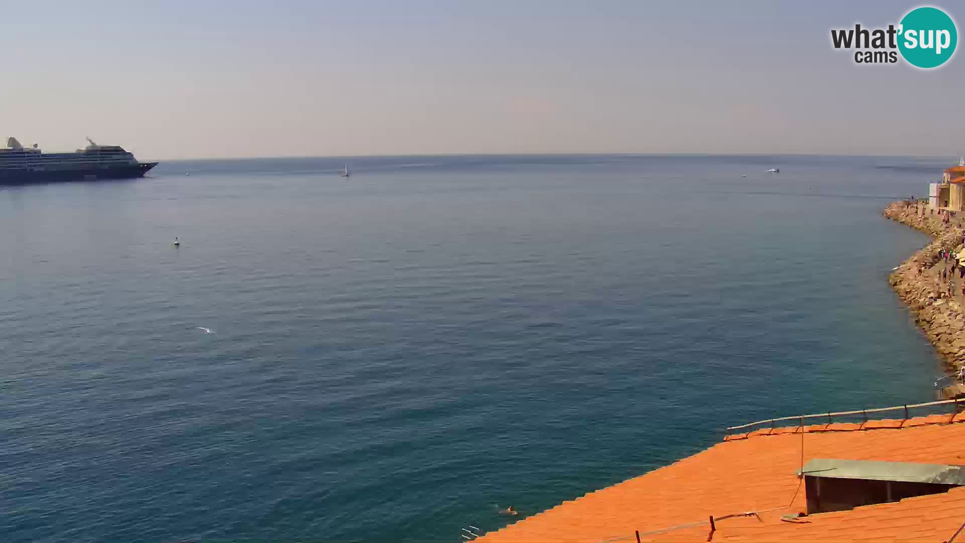 PIRAN Webcam | Strandpromenade Punta | Hotel Piran