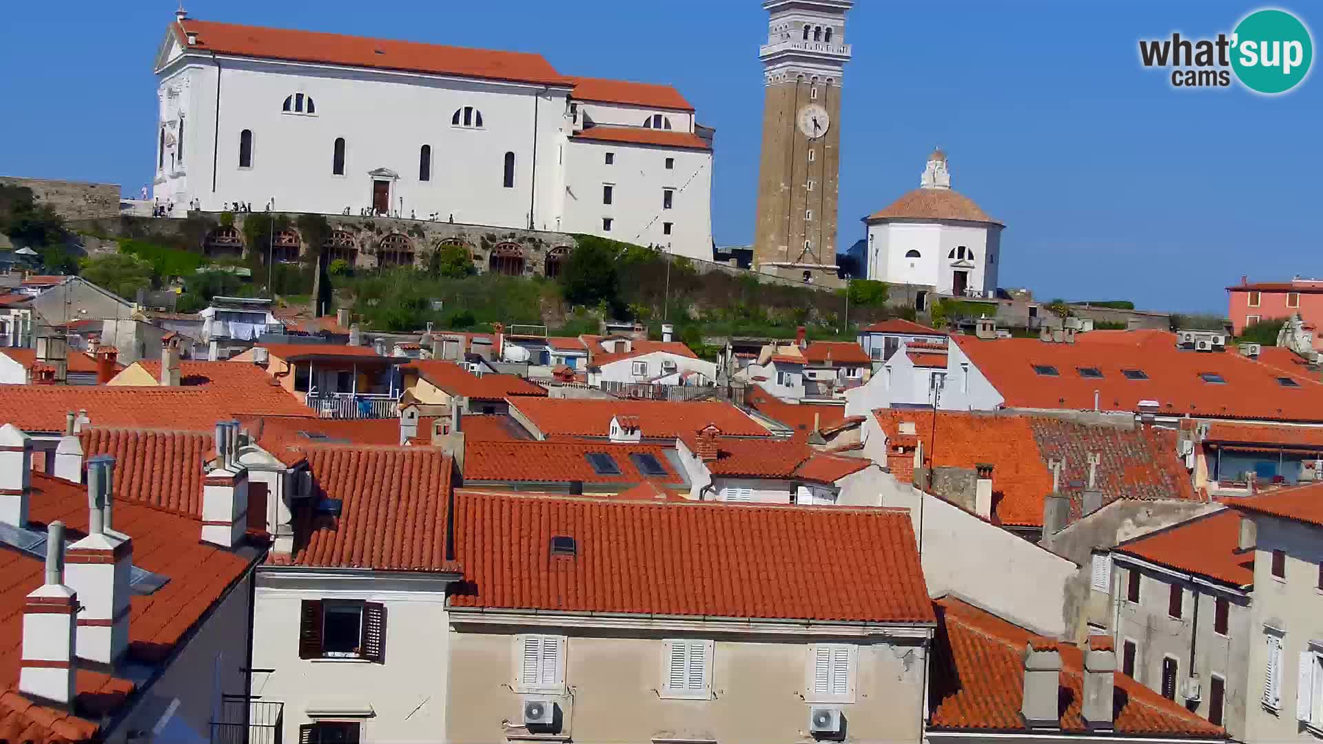 ﻿Pirano Webcam | Lungomare di Pirano | Hotel Piran