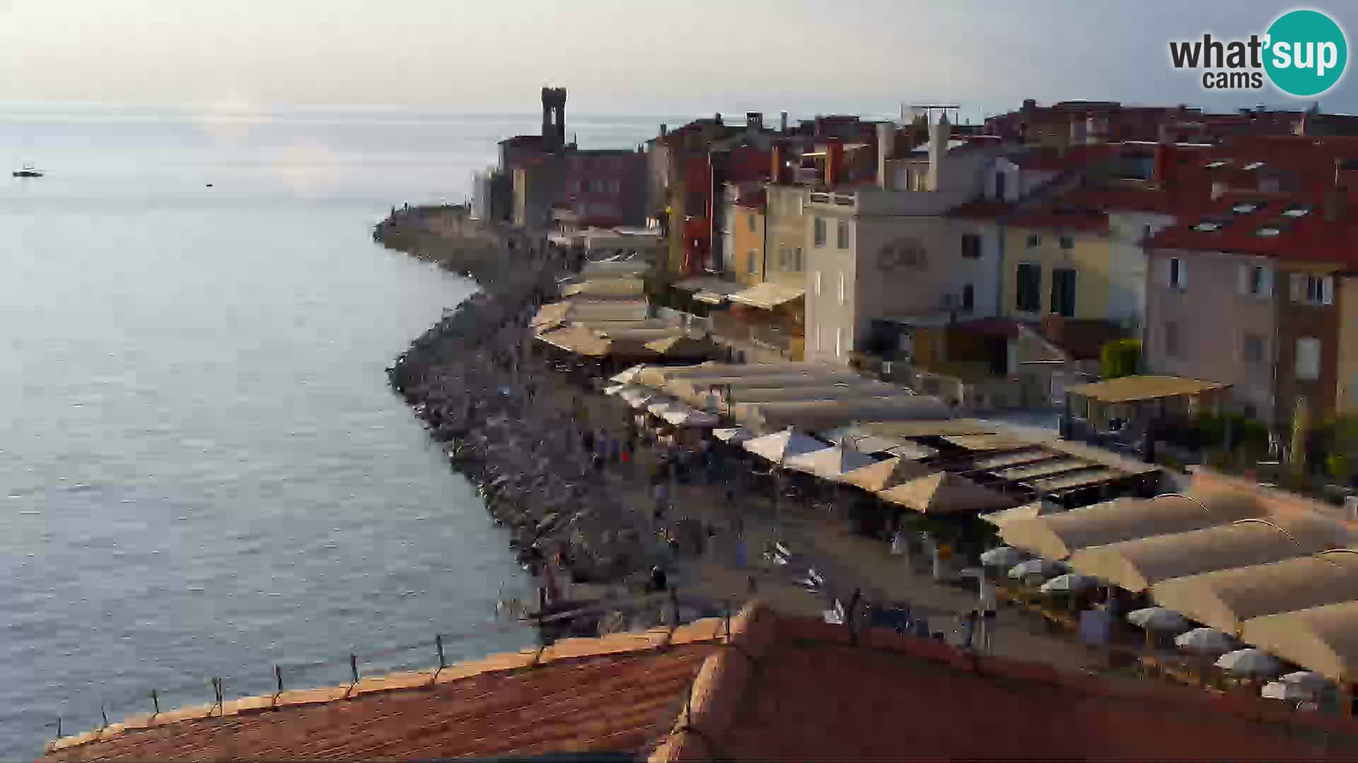 PIRAN Punta webcam | Seaside Promenade | Hotel Piran
