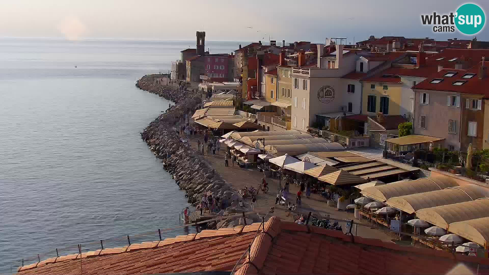 PIRAN Punta webcam | Seaside Promenade | Hotel Piran