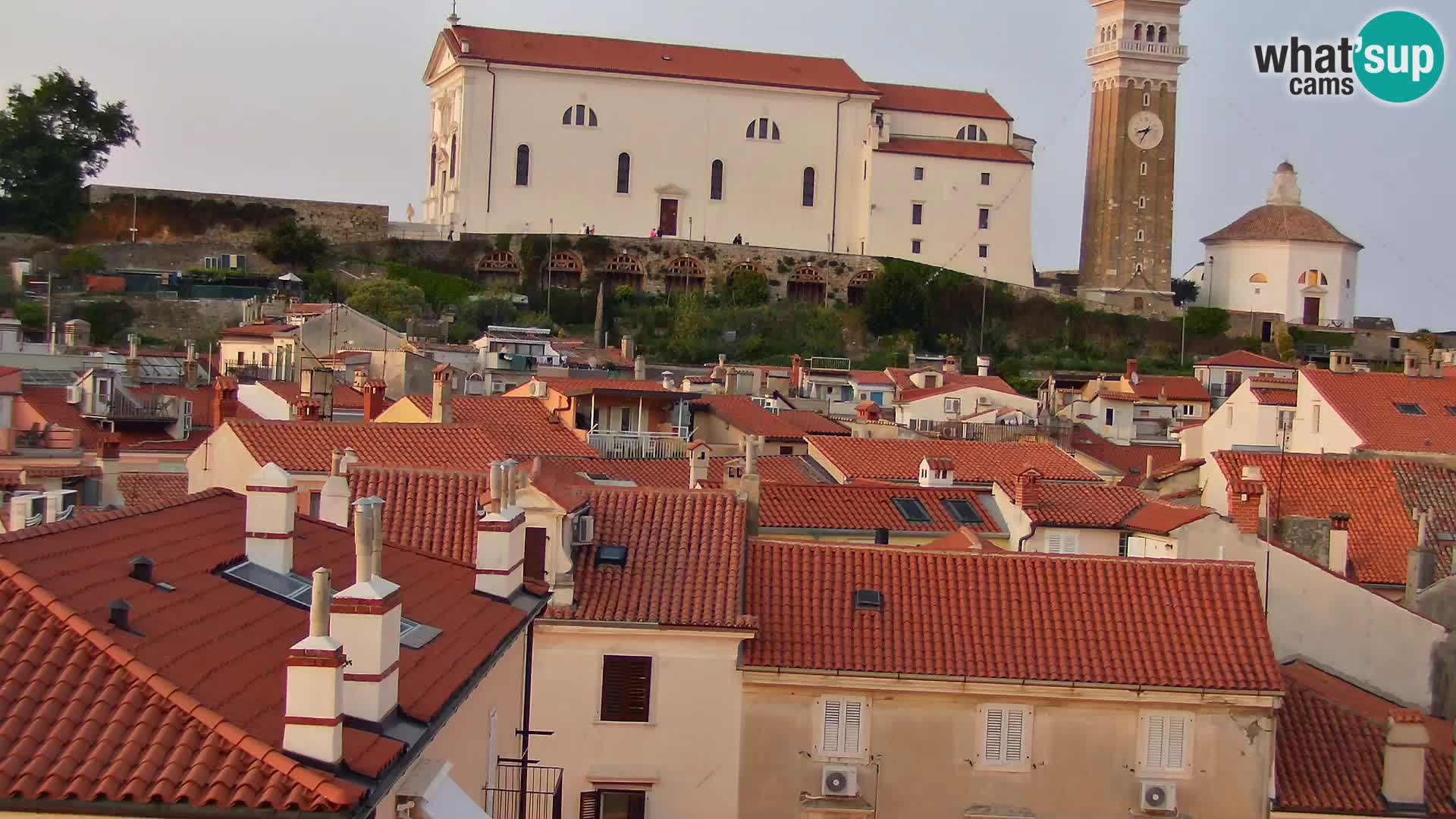 ﻿Pirano Webcam | Lungomare di Pirano | Hotel Piran