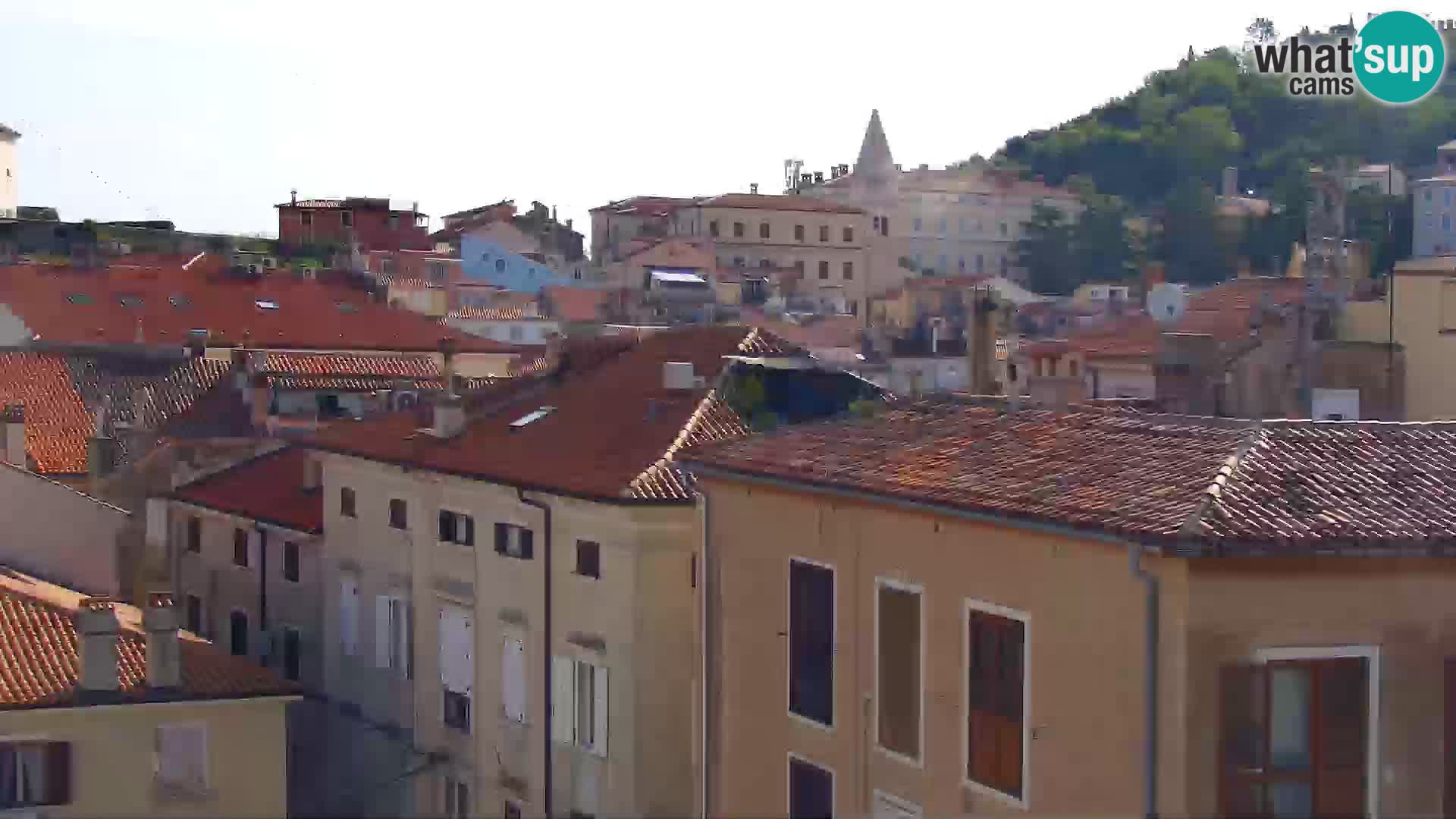﻿Pirano Webcam | Lungomare di Pirano | Hotel Piran