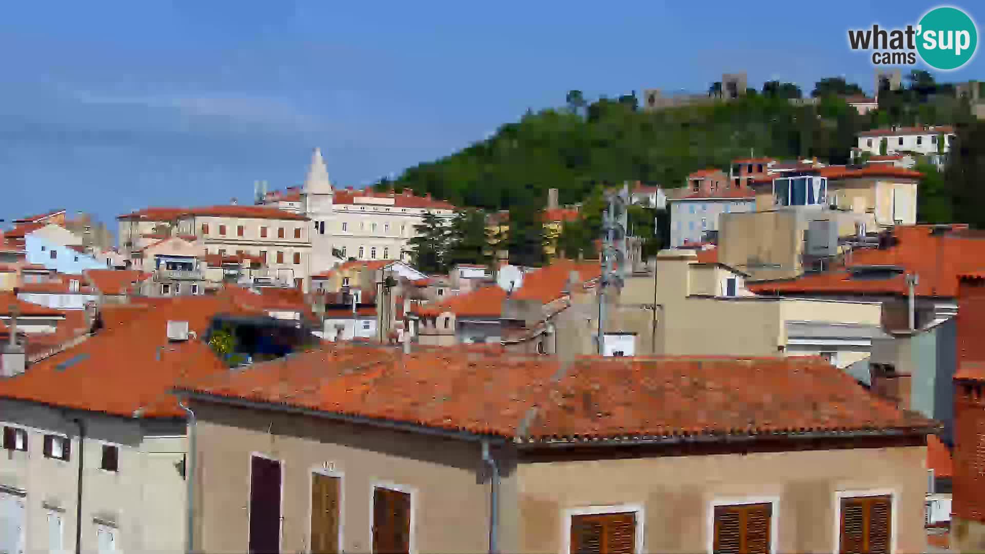 PIRAN Punta webcam | Seaside Promenade | Hotel Piran