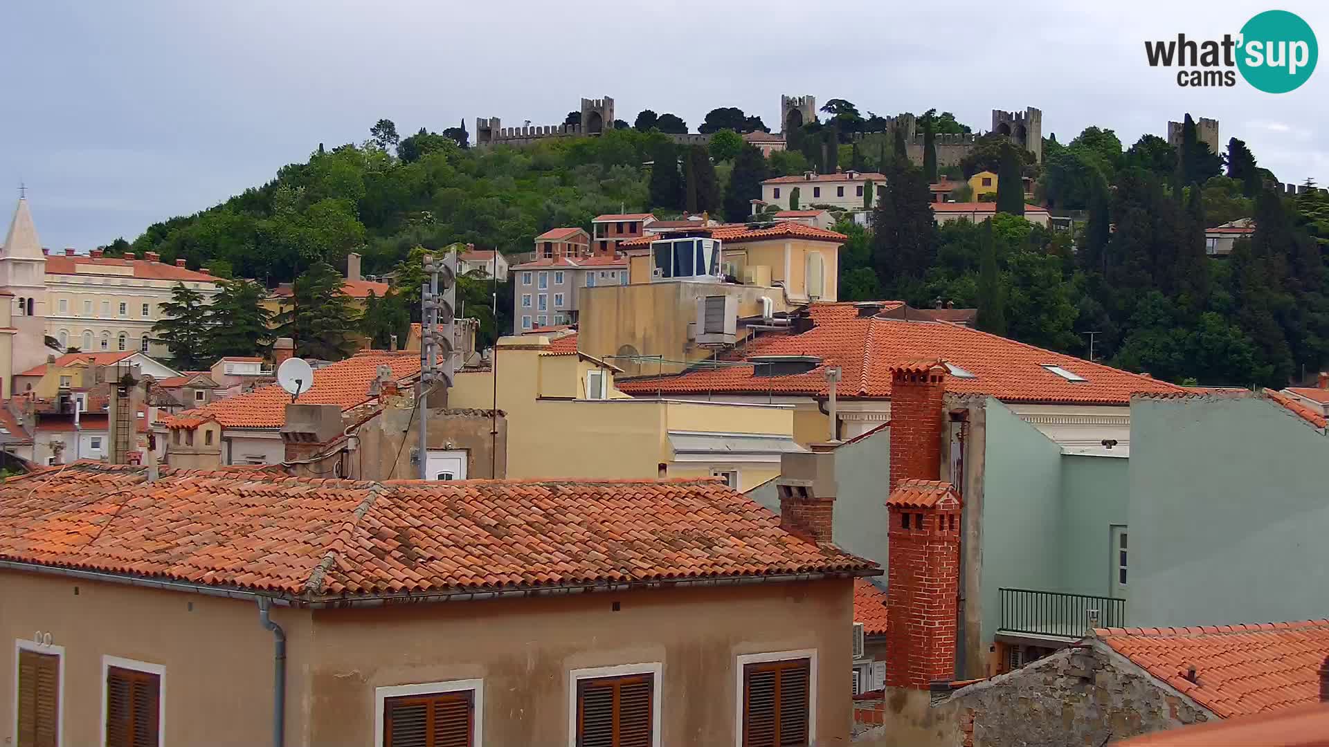 PIRAN Punta webcam | Seaside Promenade | Hotel Piran