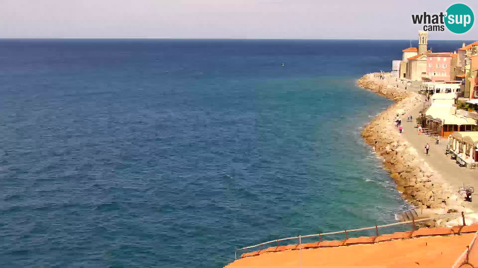 ﻿Pirano Webcam | Lungomare di Pirano | Hotel Piran