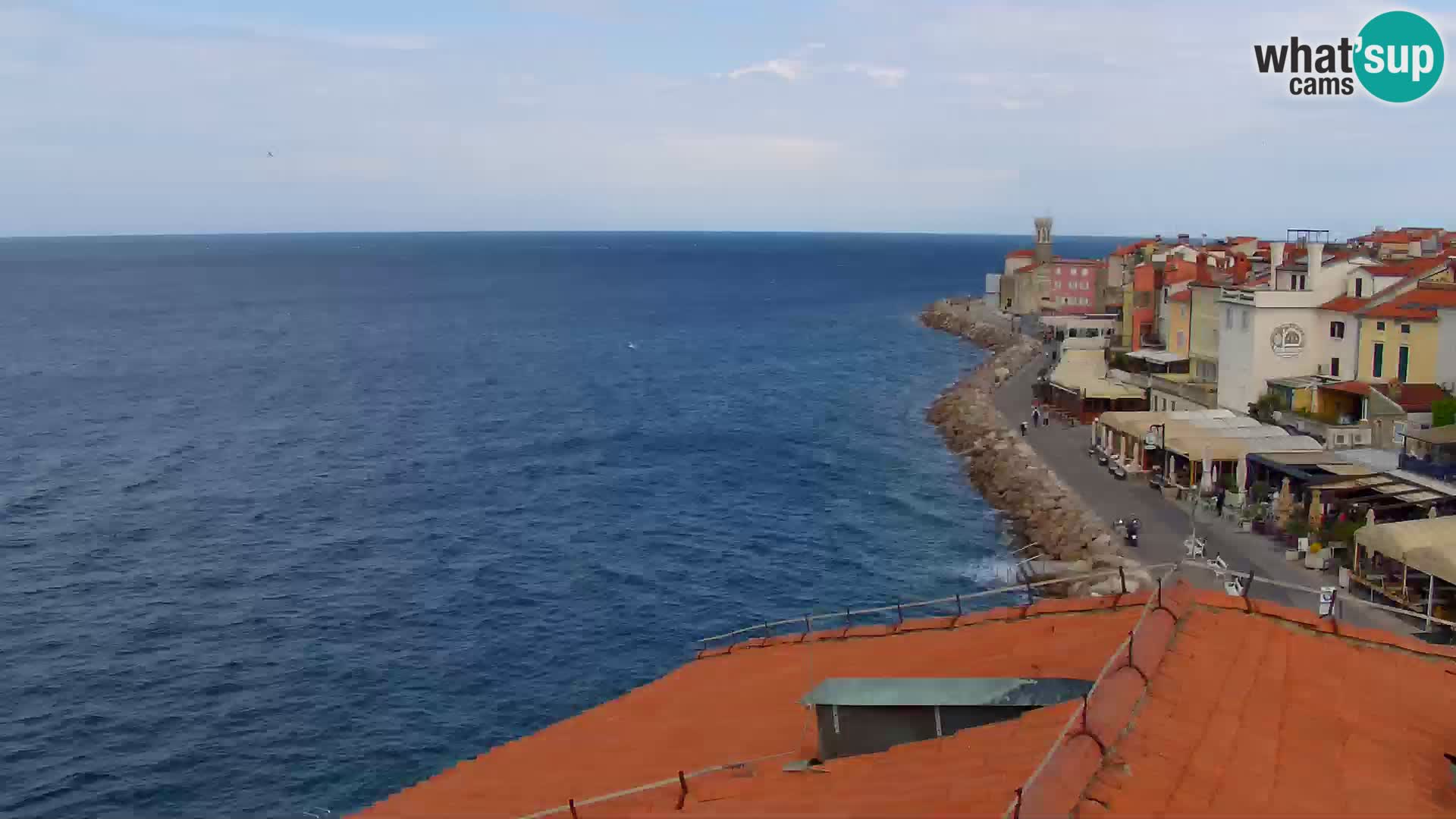 PIRAN Punta webcam | Seaside Promenade | Hotel Piran