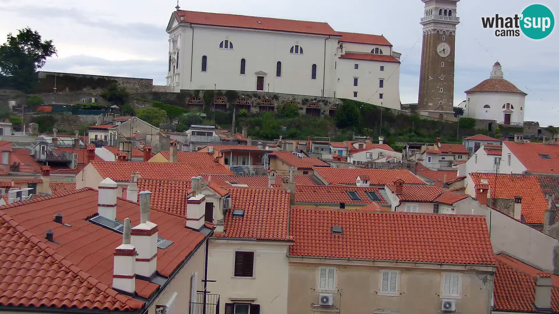 PIRAN Punta webcam | Seaside Promenade | Hotel Piran