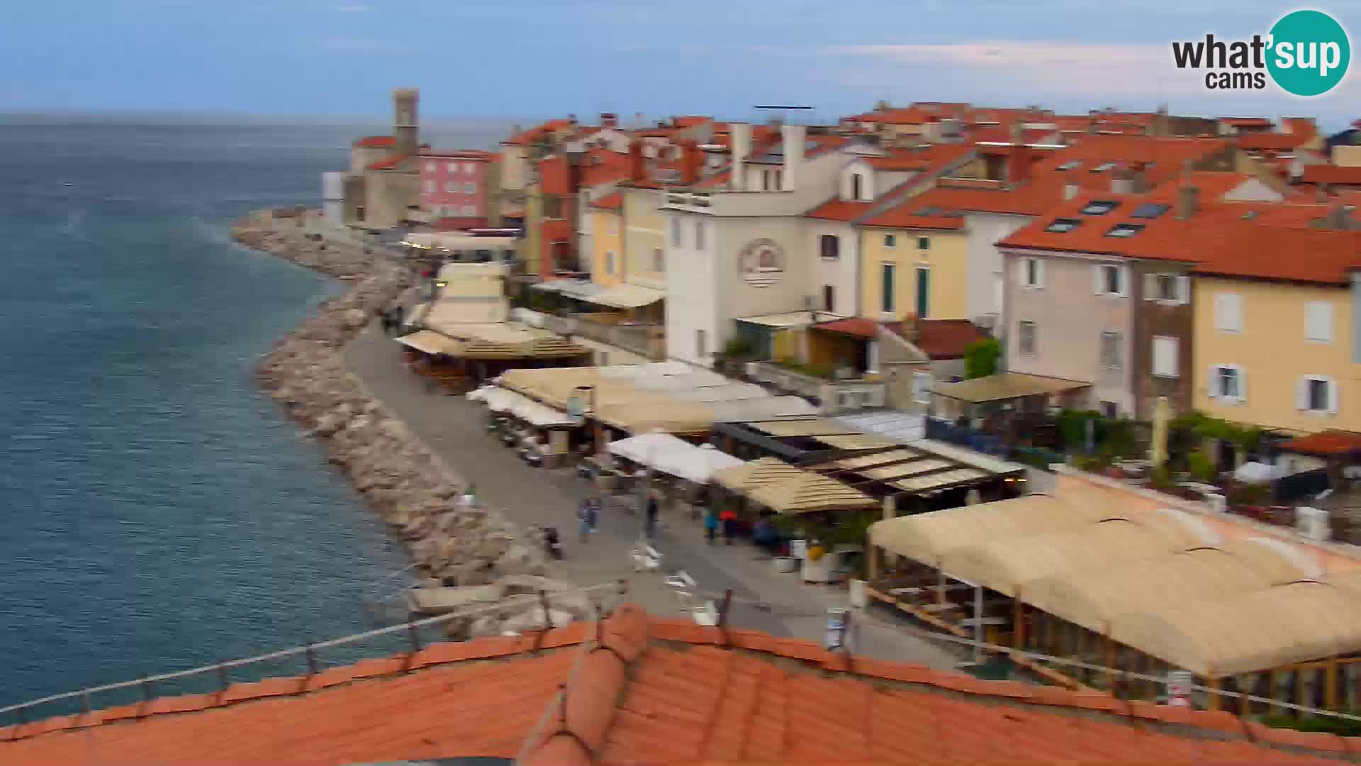 ﻿Pirano Webcam | Lungomare di Pirano | Hotel Piran