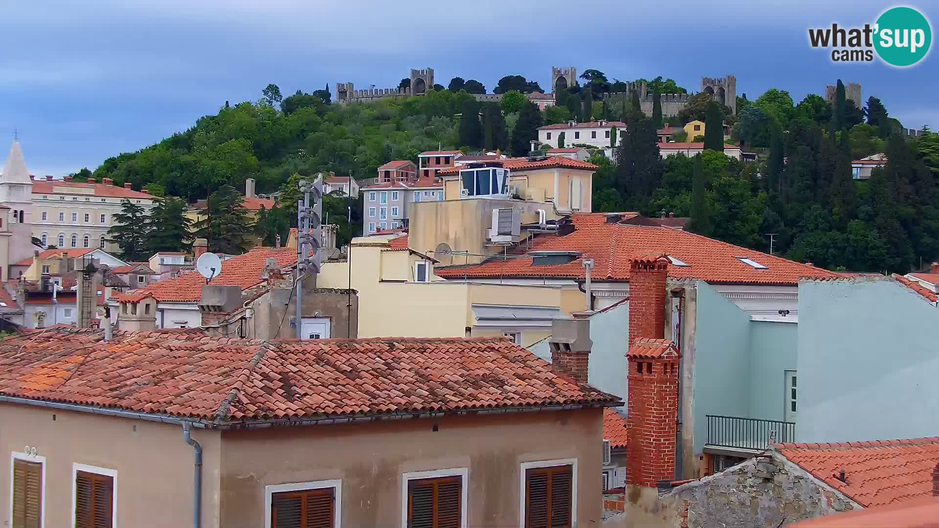 PIRAN Punta webcam | Seaside Promenade | Hotel Piran