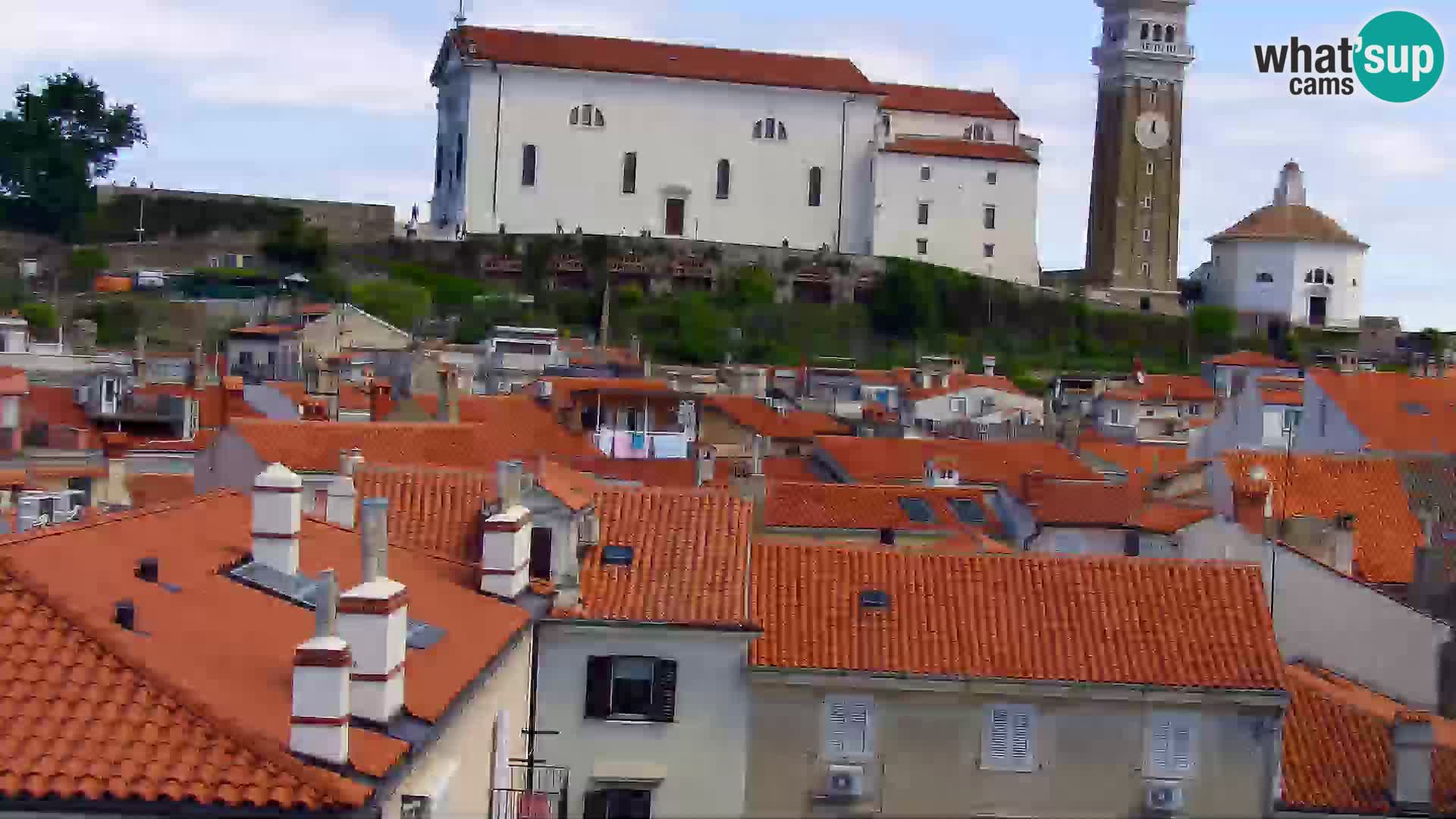 PIRAN Punta webcam | Seaside Promenade | Hotel Piran