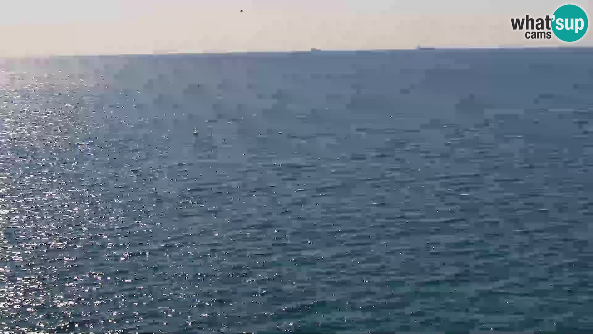 Piransko Nabrežje s Hotela Piran