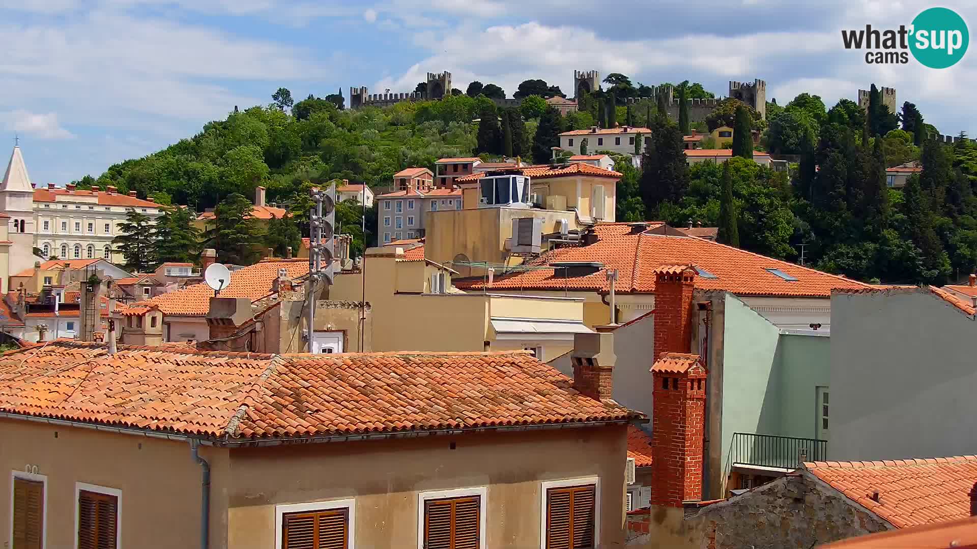 ﻿Pirano Webcam | Lungomare di Pirano | Hotel Piran