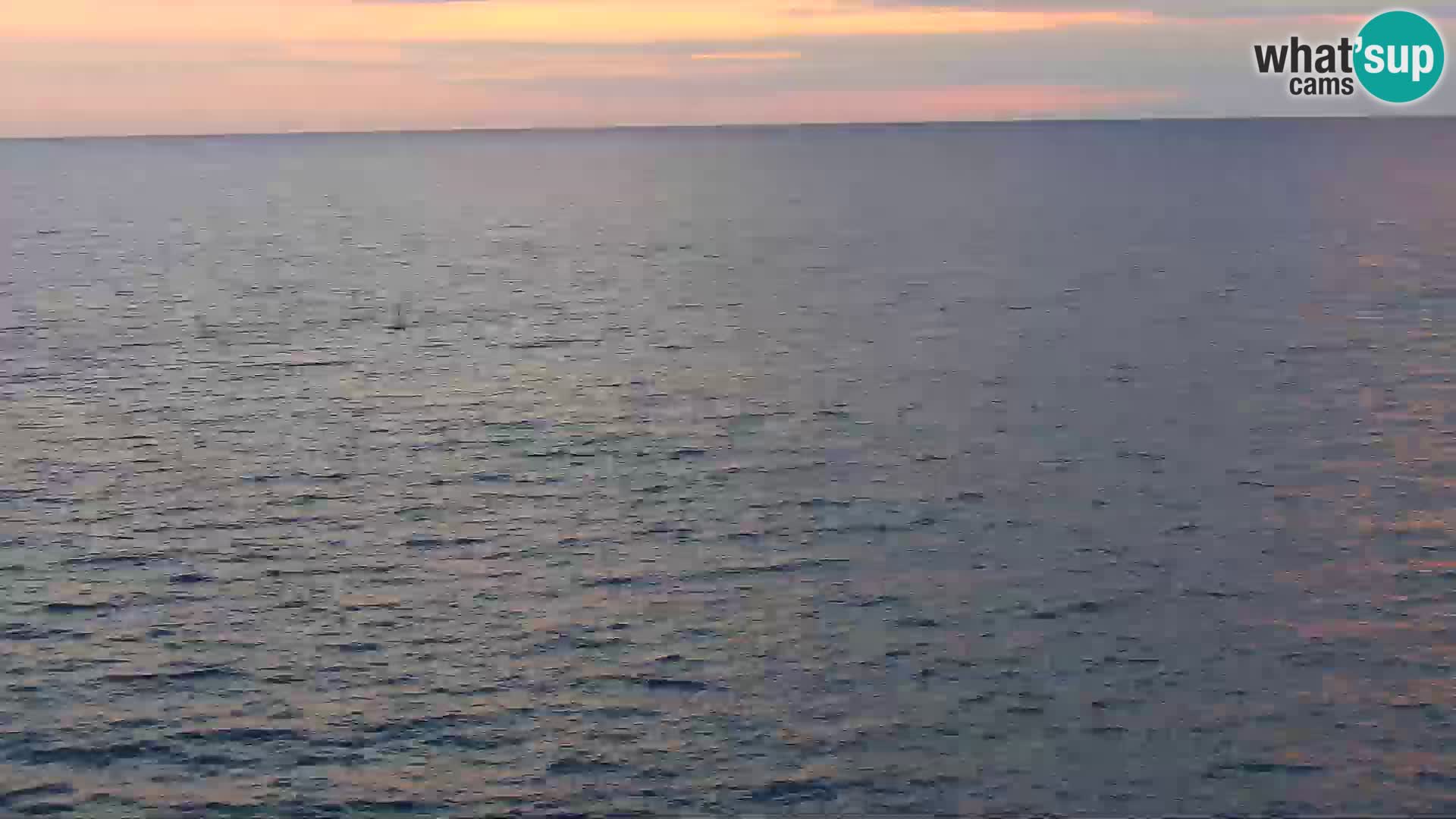 PIRAN Punta webcam | Seaside Promenade | Hotel Piran