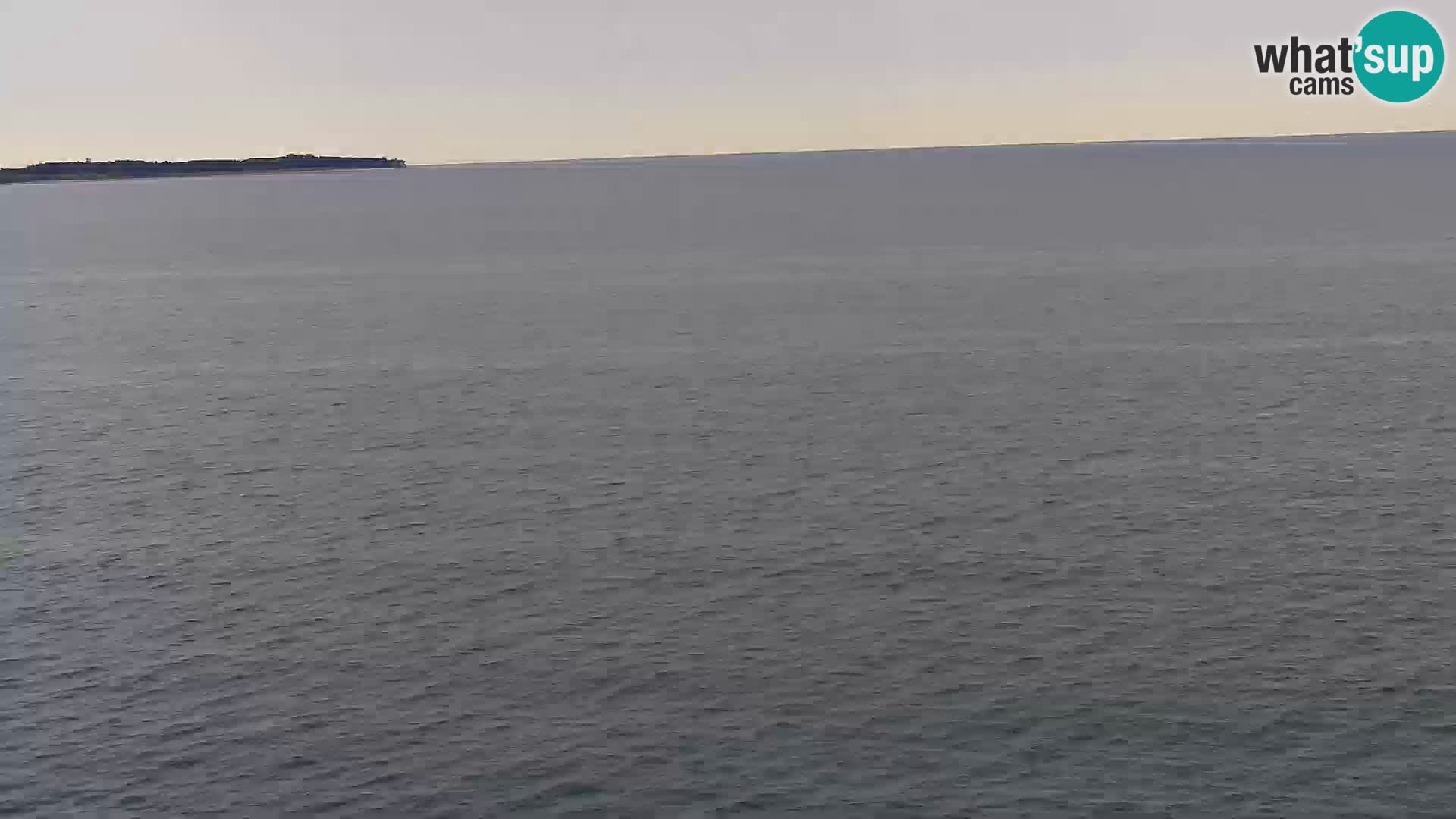 ﻿Pirano Webcam | Lungomare di Pirano | Hotel Piran