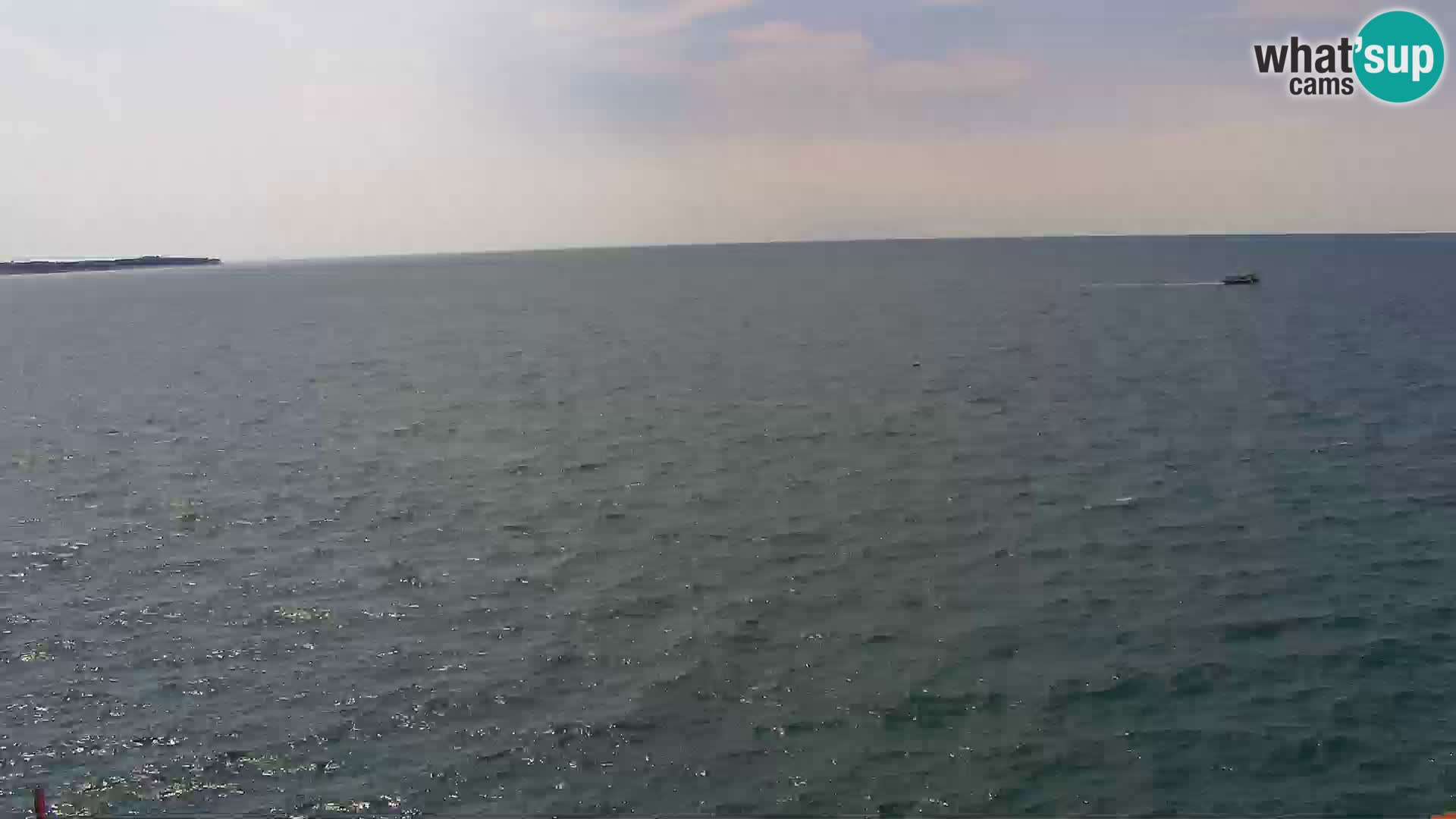 PIRAN Punta webcam | Seaside Promenade | Hotel Piran