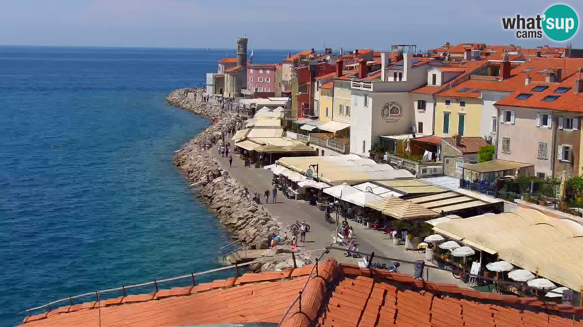 ﻿Pirano Webcam | Lungomare di Pirano | Hotel Piran