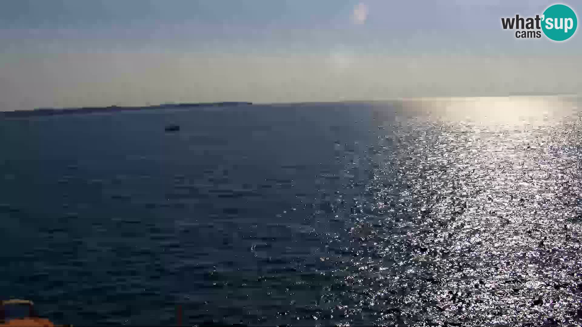 Piran Punta – Seaside Promenade