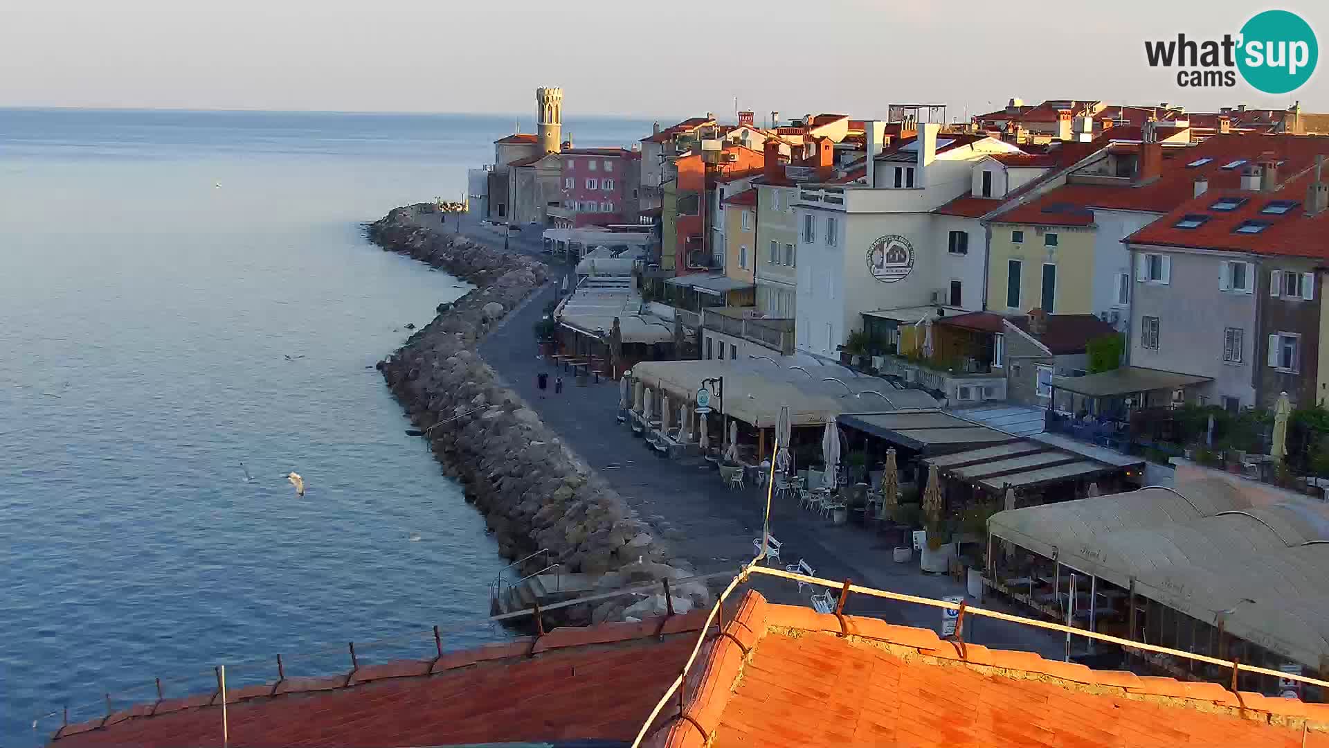 PIRAN Punta webcam | Seaside Promenade | Hotel Piran