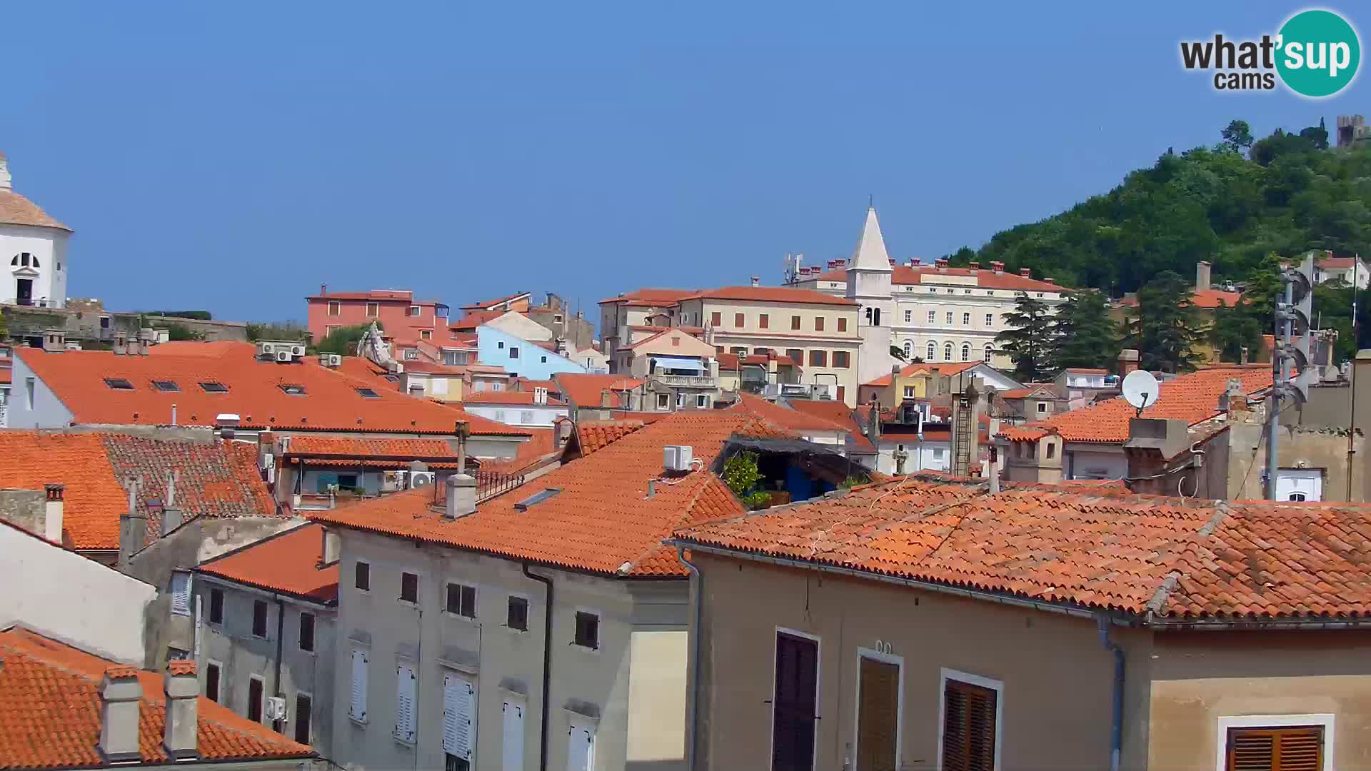 ﻿Pirano Webcam | Lungomare di Pirano | Hotel Piran