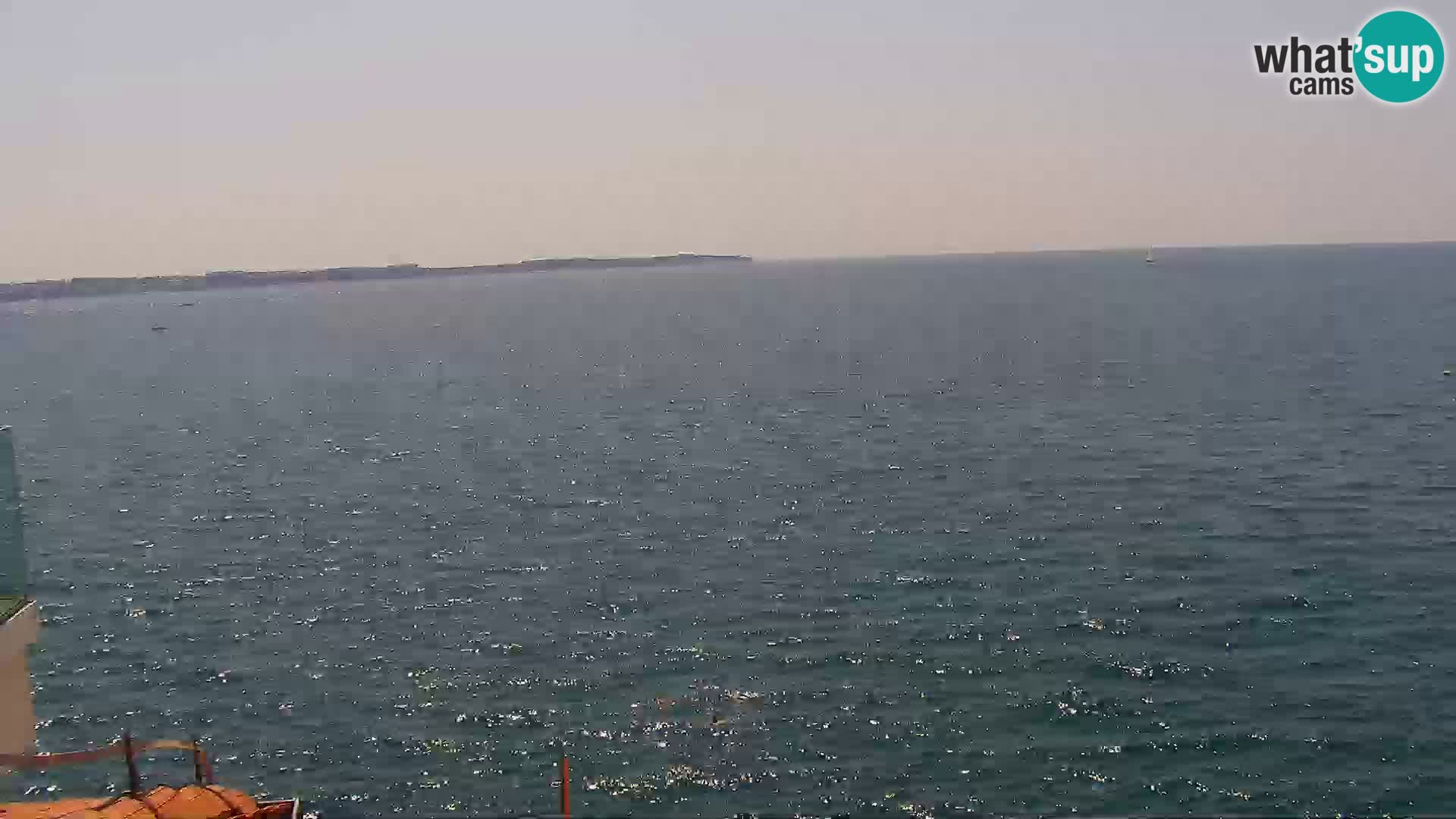PIRAN Punta webcam | Seaside Promenade | Hotel Piran