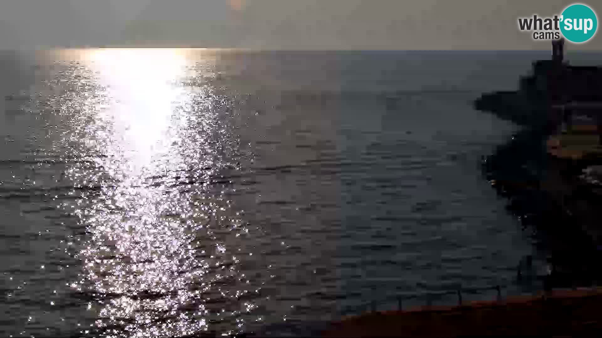 PIRAN Punta webcam | Seaside Promenade | Hotel Piran