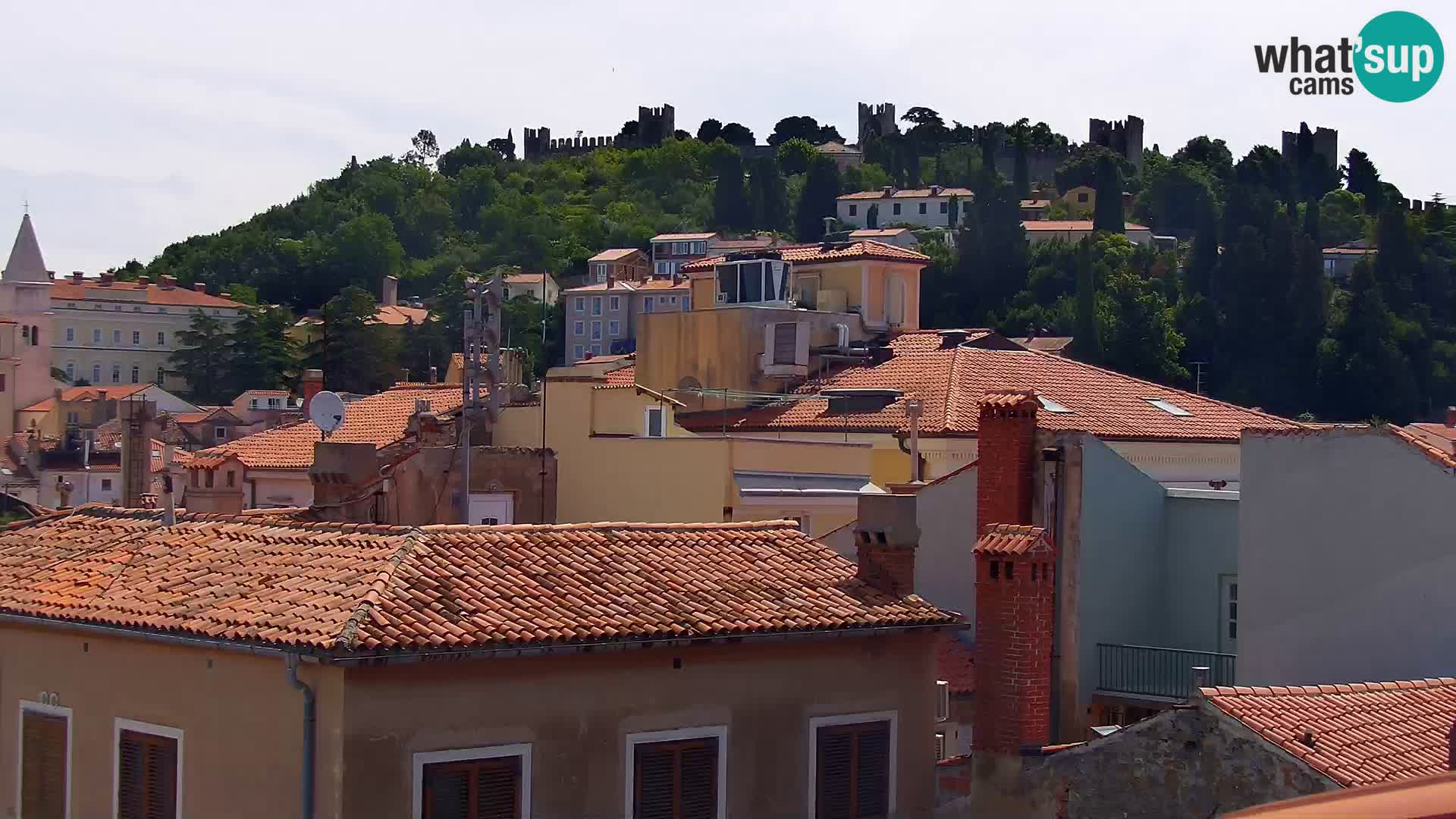 PIRAN Webcam | Strandpromenade Punta | Hotel Piran