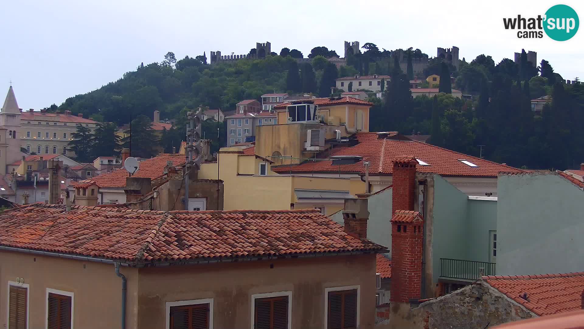 ﻿Pirano Webcam | Lungomare di Pirano | Hotel Piran