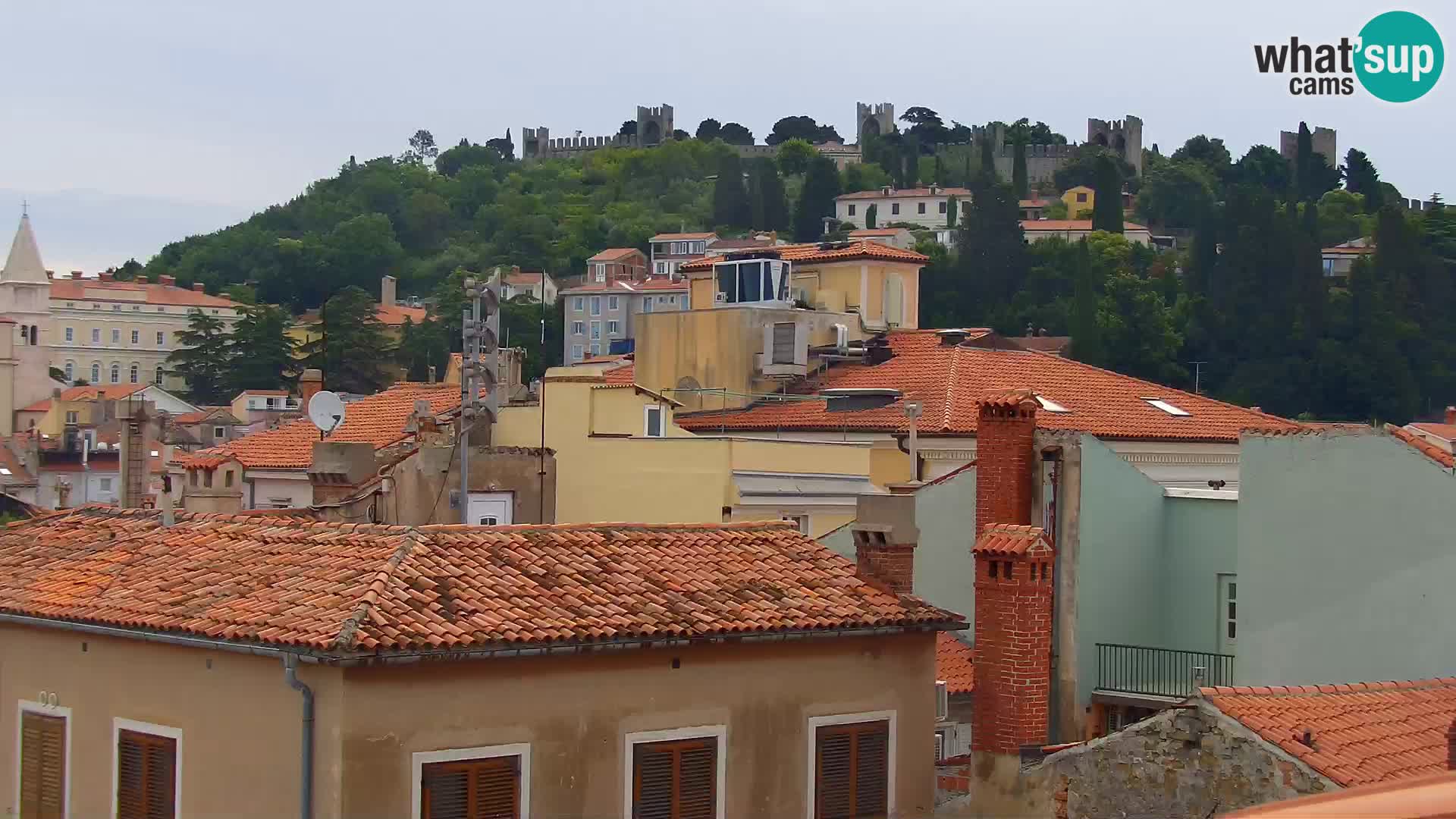 ﻿Pirano Webcam | Lungomare di Pirano | Hotel Piran