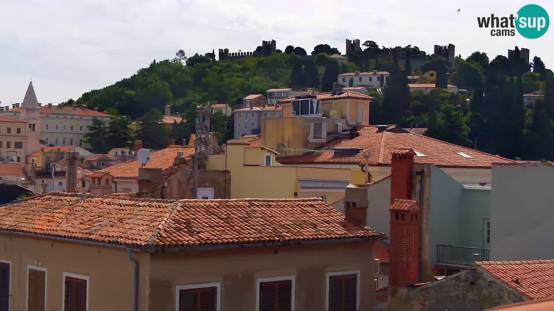 ﻿Pirano Webcam | Lungomare di Pirano | Hotel Piran