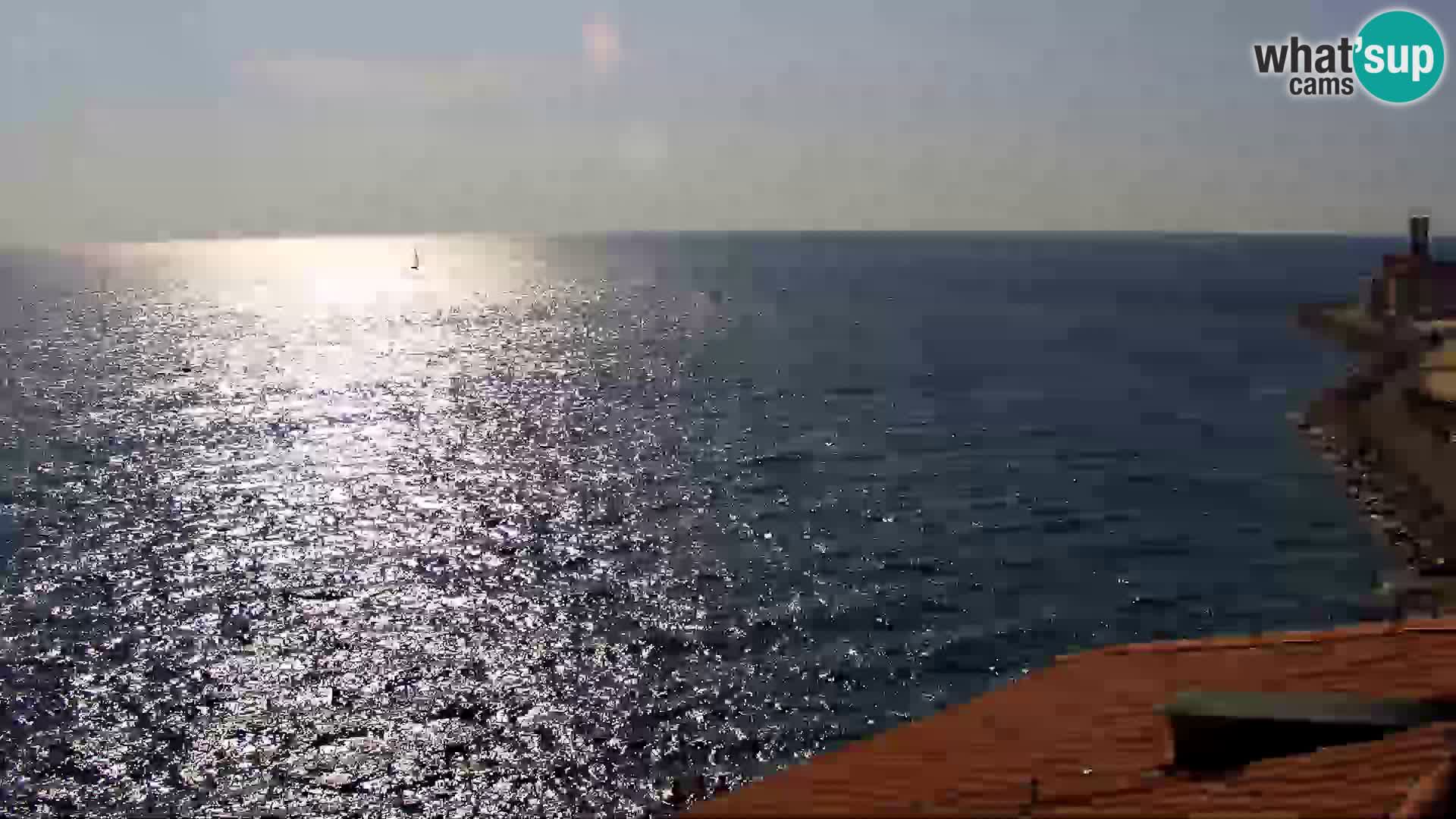 PIRAN Punta webcam | Seaside Promenade | Hotel Piran