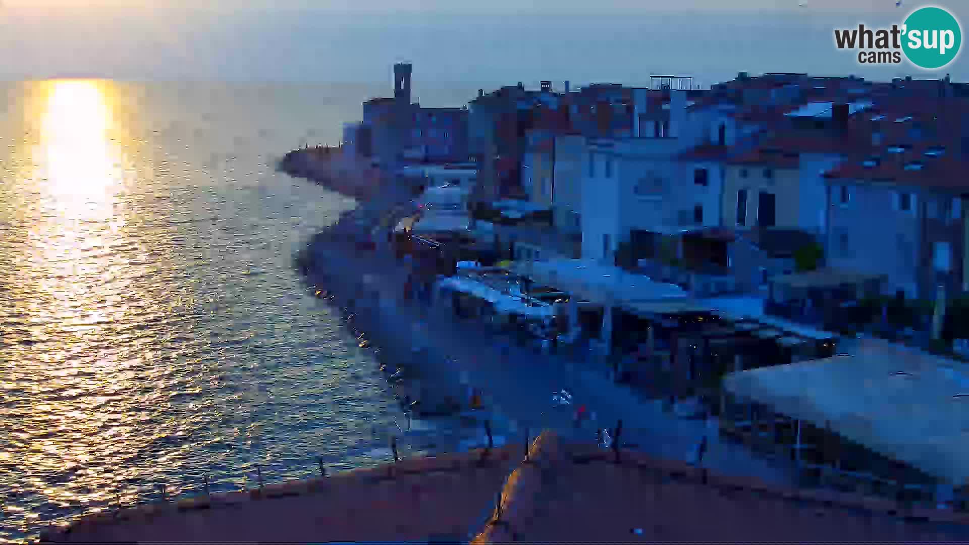 PIRAN Punta webcam | Seaside Promenade | Hotel Piran