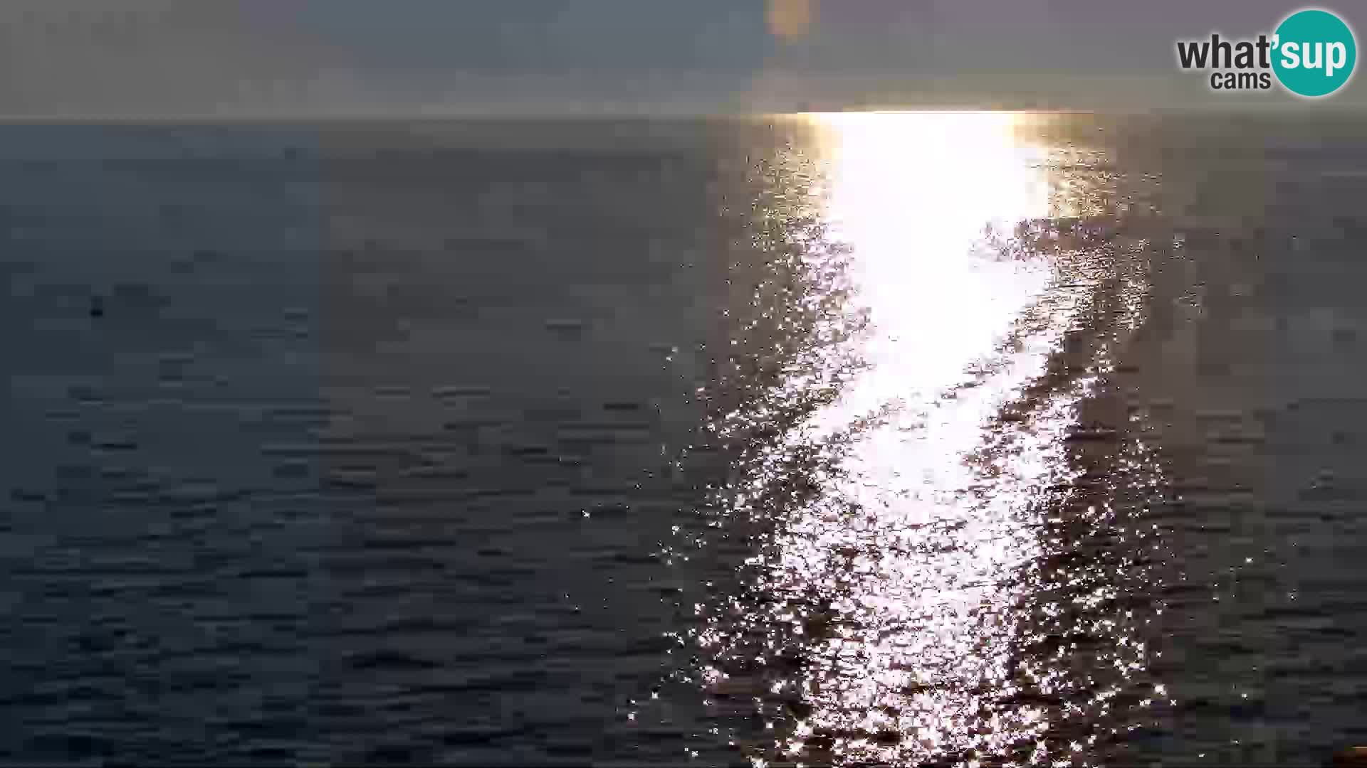 PIRAN Punta webcam | Seaside Promenade | Hotel Piran