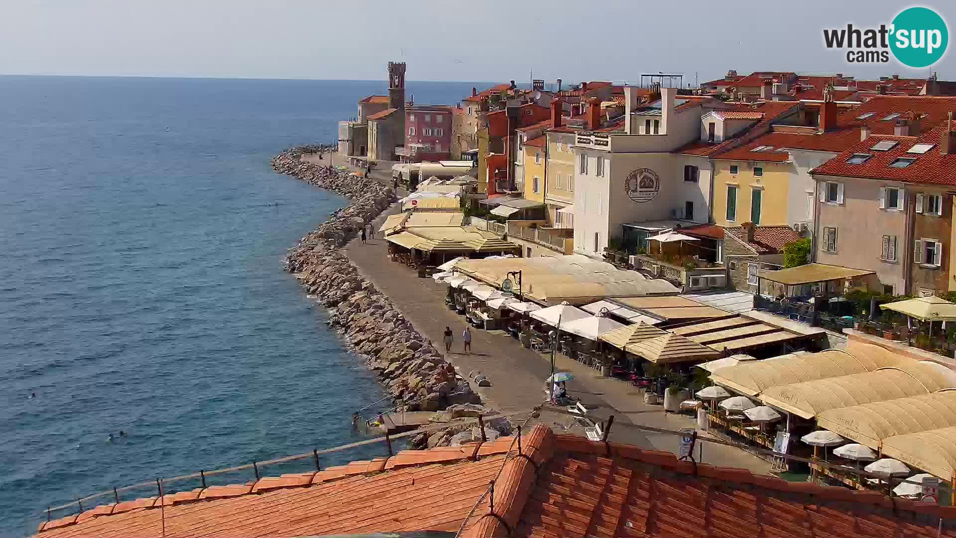PIRAN Punta webcam | Seaside Promenade | Hotel Piran