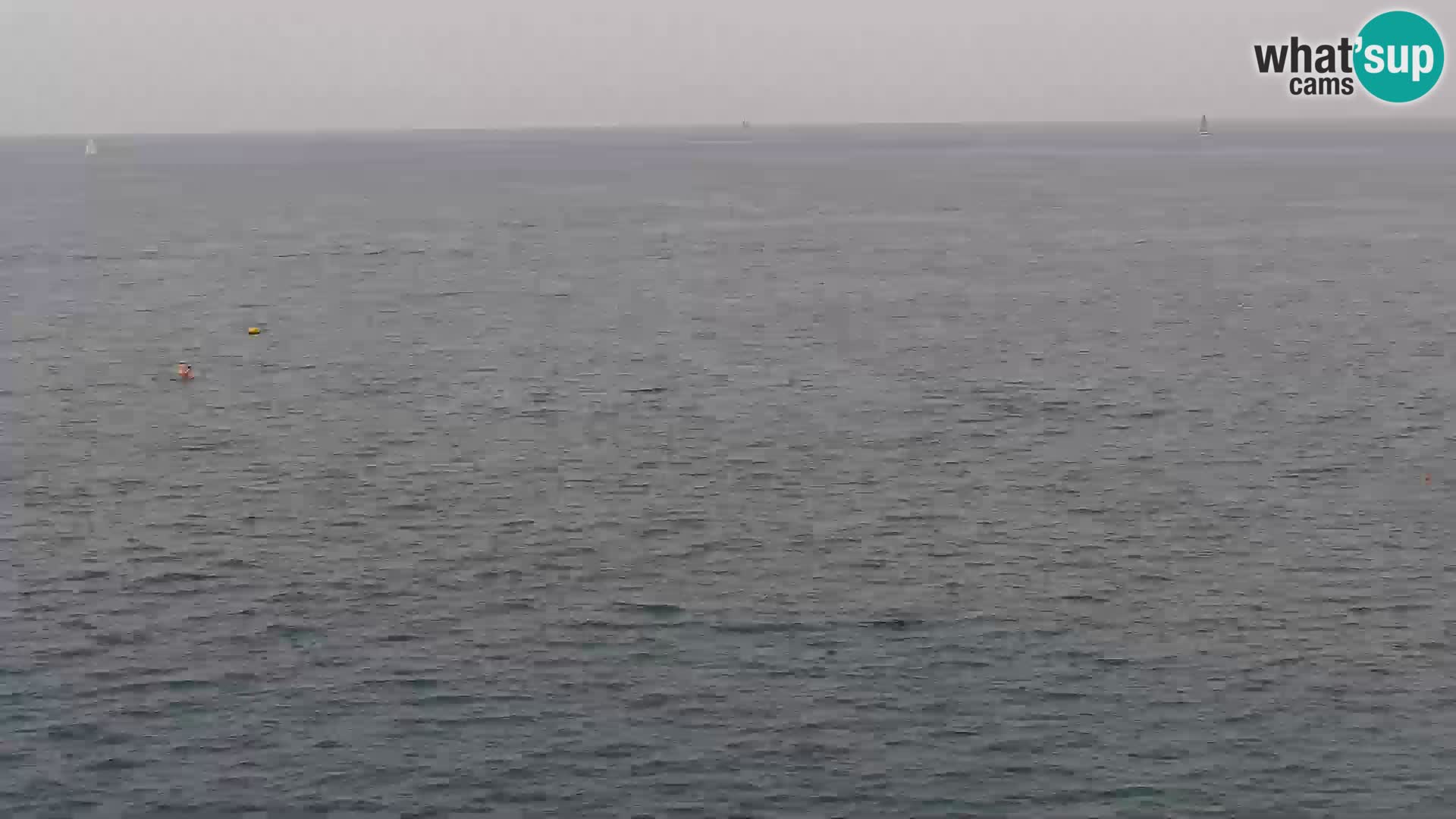 ﻿Pirano Webcam | Lungomare di Pirano | Hotel Piran