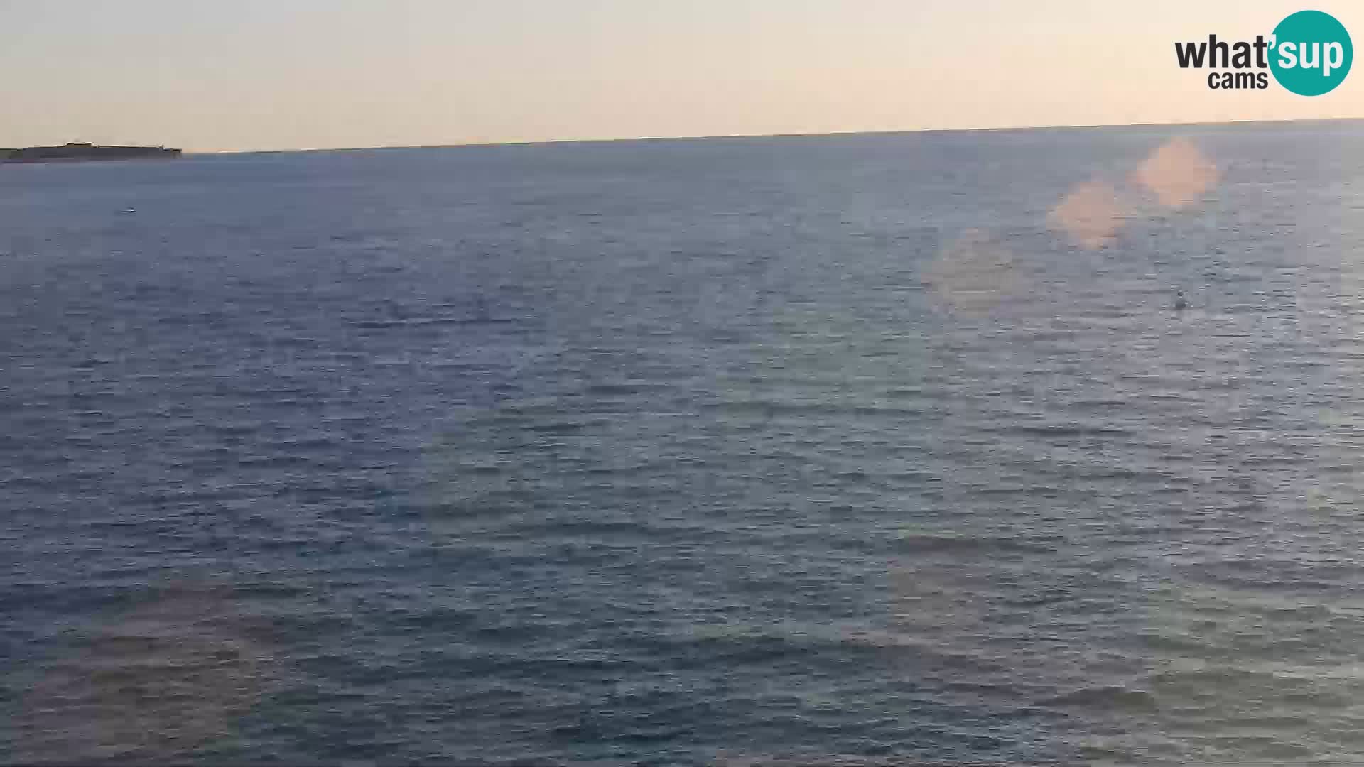 PIRAN Punta webcam | Seaside Promenade | Hotel Piran