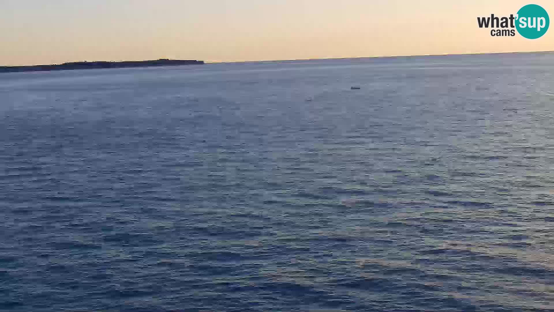 ﻿Pirano Webcam | Lungomare di Pirano | Hotel Piran