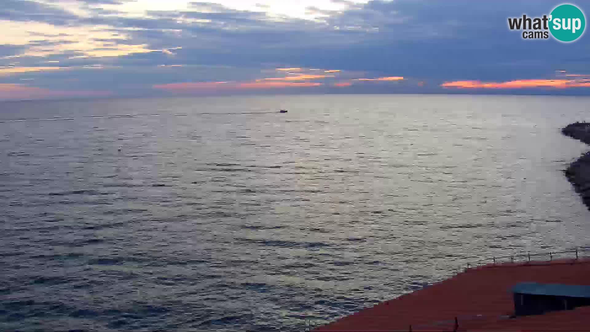 PIRAN Punta webcam | Seaside Promenade | Hotel Piran