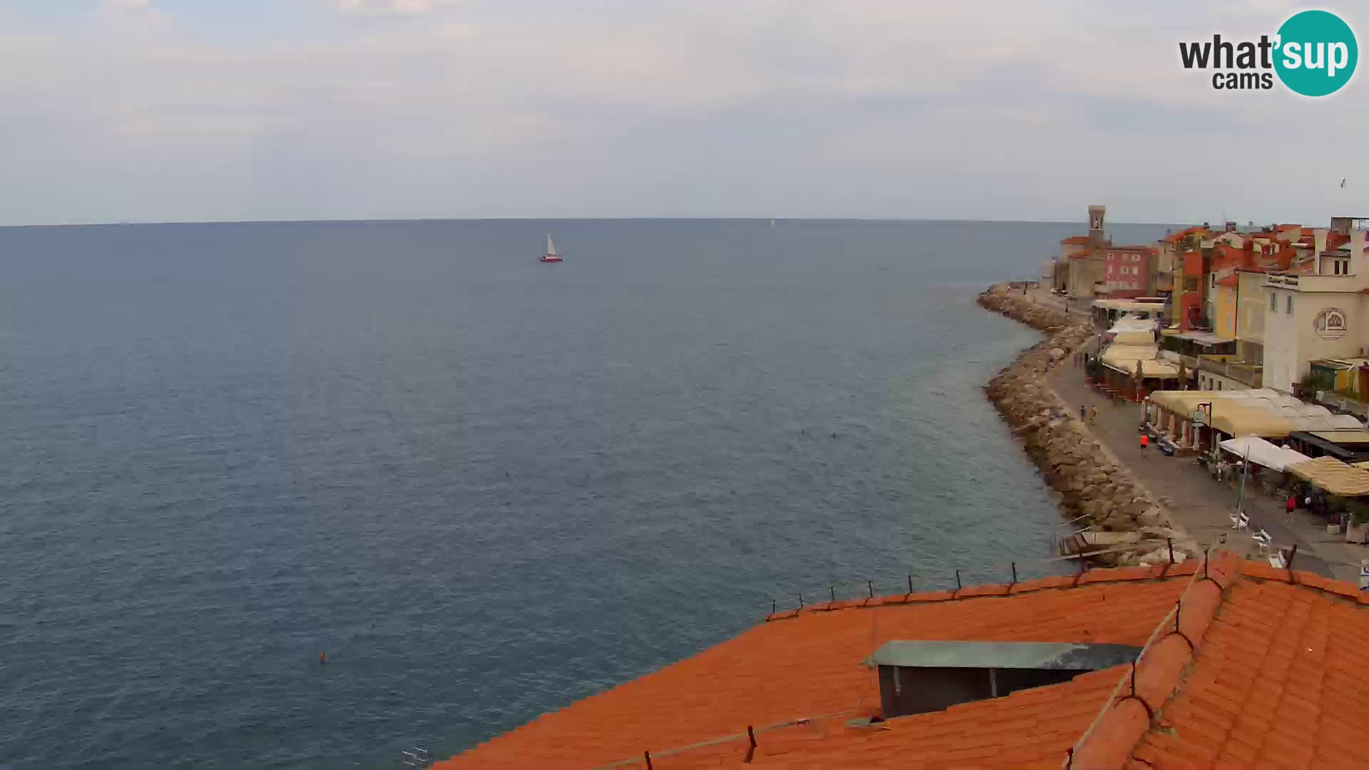 PIRAN Punta webcam | Seaside Promenade | Hotel Piran