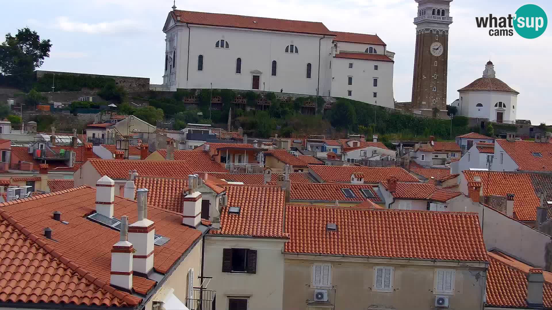 ﻿Pirano Webcam | Lungomare di Pirano | Hotel Piran