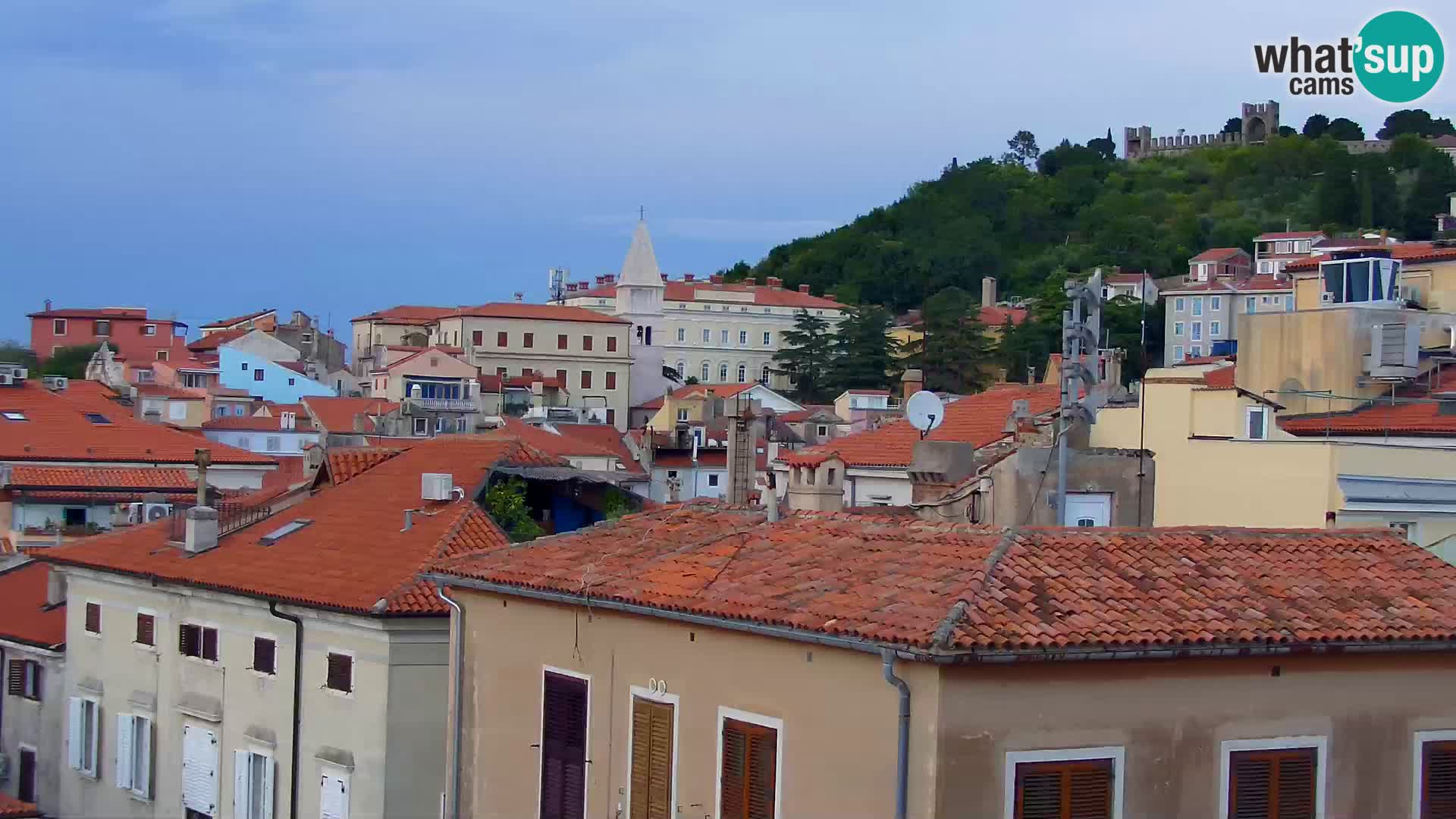 PIRAN Punta webcam | Seaside Promenade | Hotel Piran