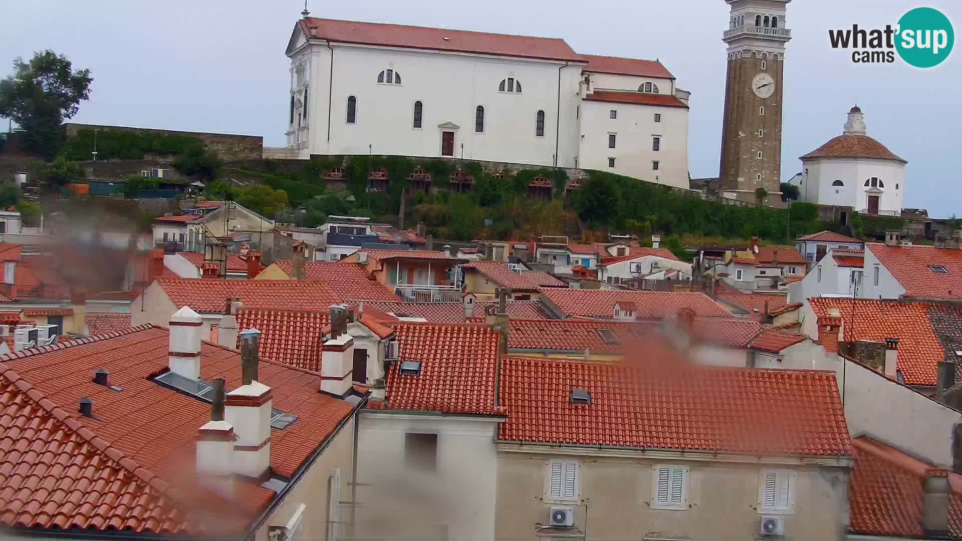 PIRAN Punta webcam | Seaside Promenade | Hotel Piran