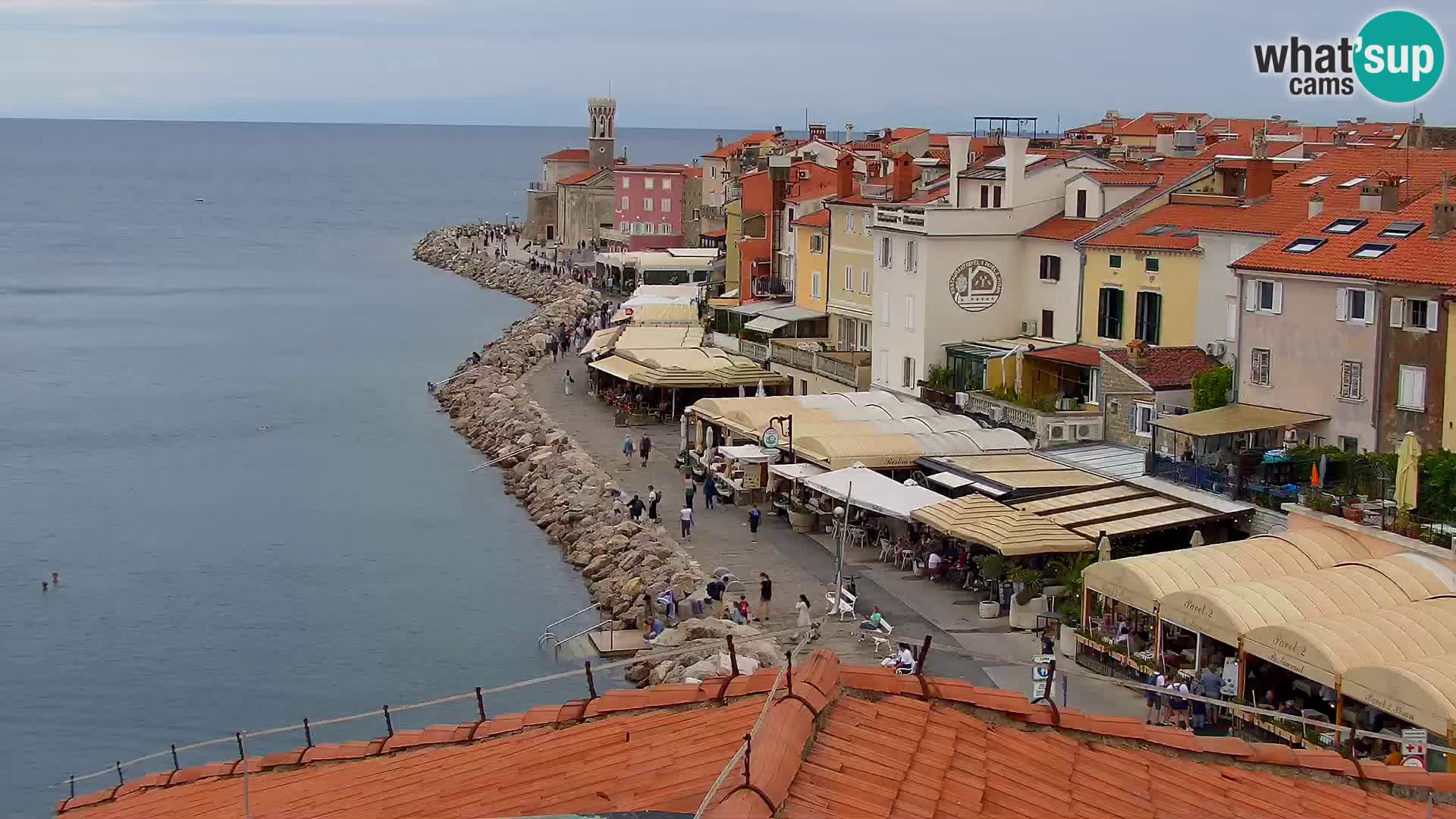 ﻿Pirano Webcam | Lungomare di Pirano | Hotel Piran