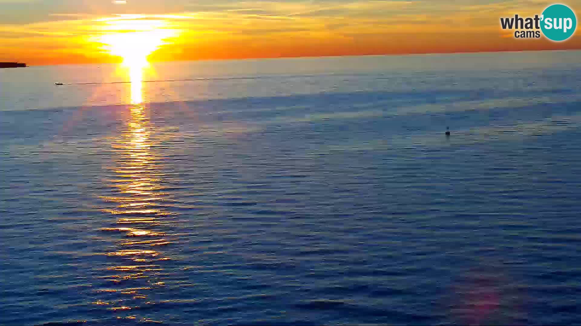 PIRAN Punta webcam | Seaside Promenade | Hotel Piran